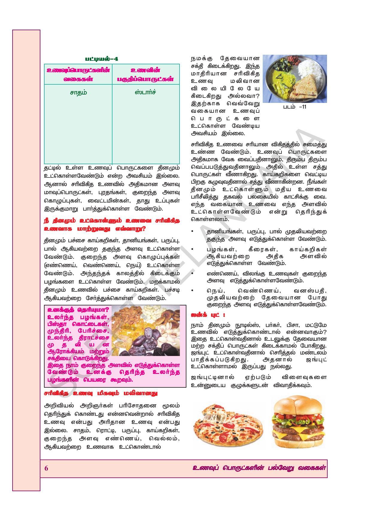 TS SCERT Class 7 General Science (Tamil Medium) Text Book - Page 20