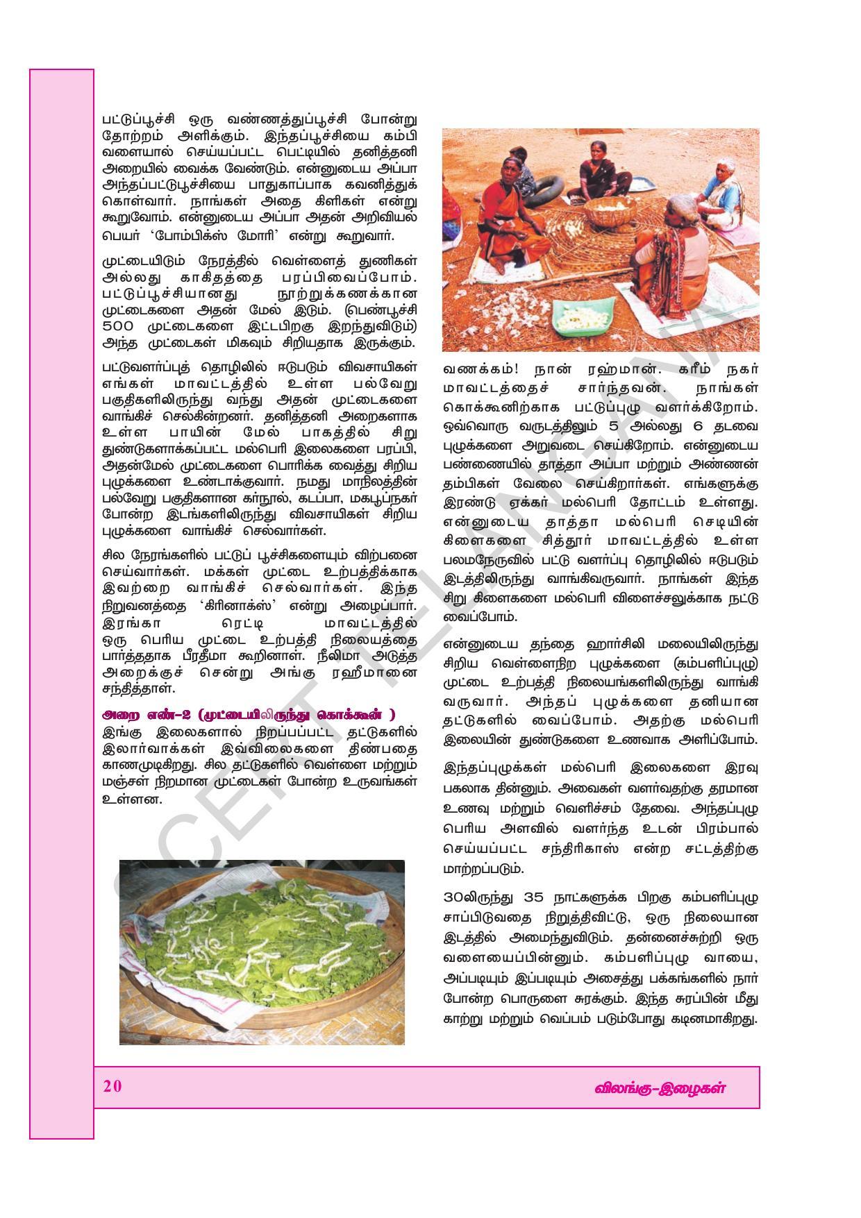 TS SCERT Class 7 General Science (Tamil Medium) Text Book - Page 34