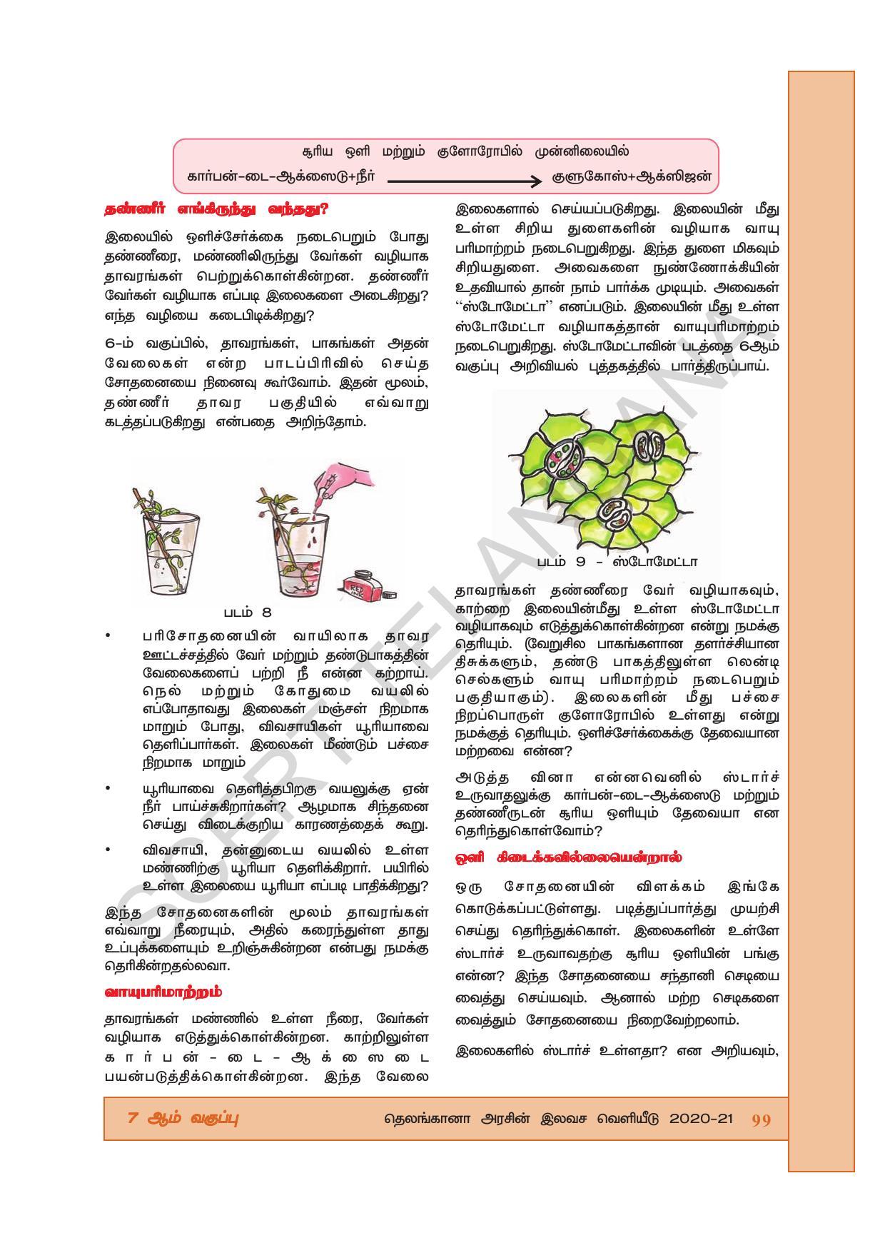 TS SCERT Class 7 General Science (Tamil Medium) Text Book - Page 113