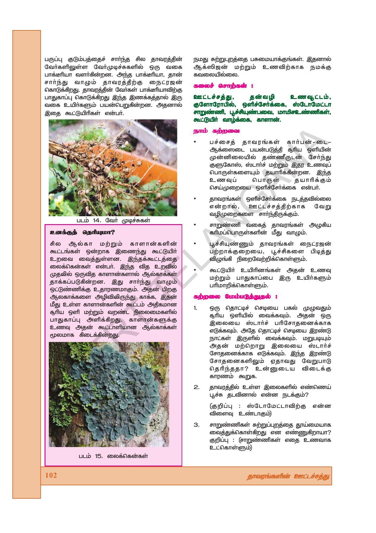 TS SCERT Class 7 General Science (Tamil Medium) Text Book - Page 116