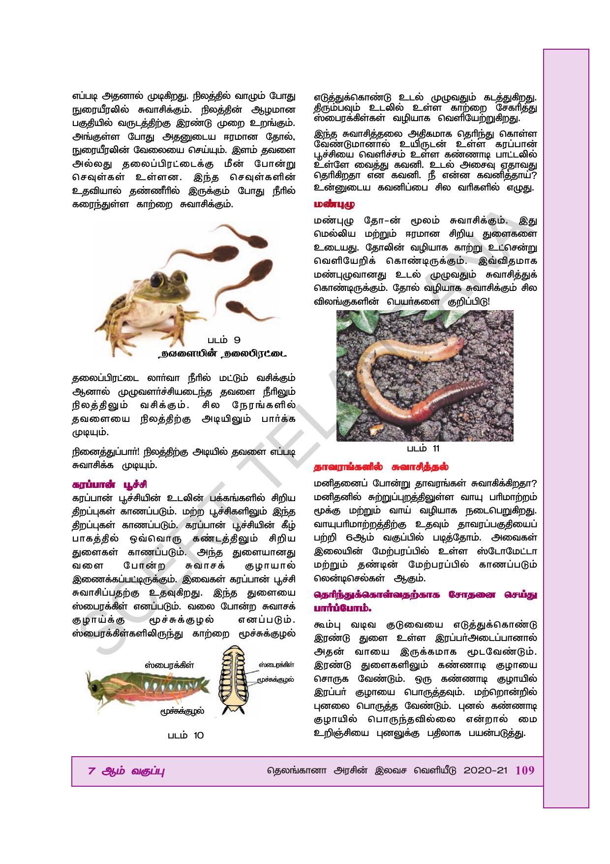 TS SCERT Class 7 General Science (Tamil Medium) Text Book - Page 123