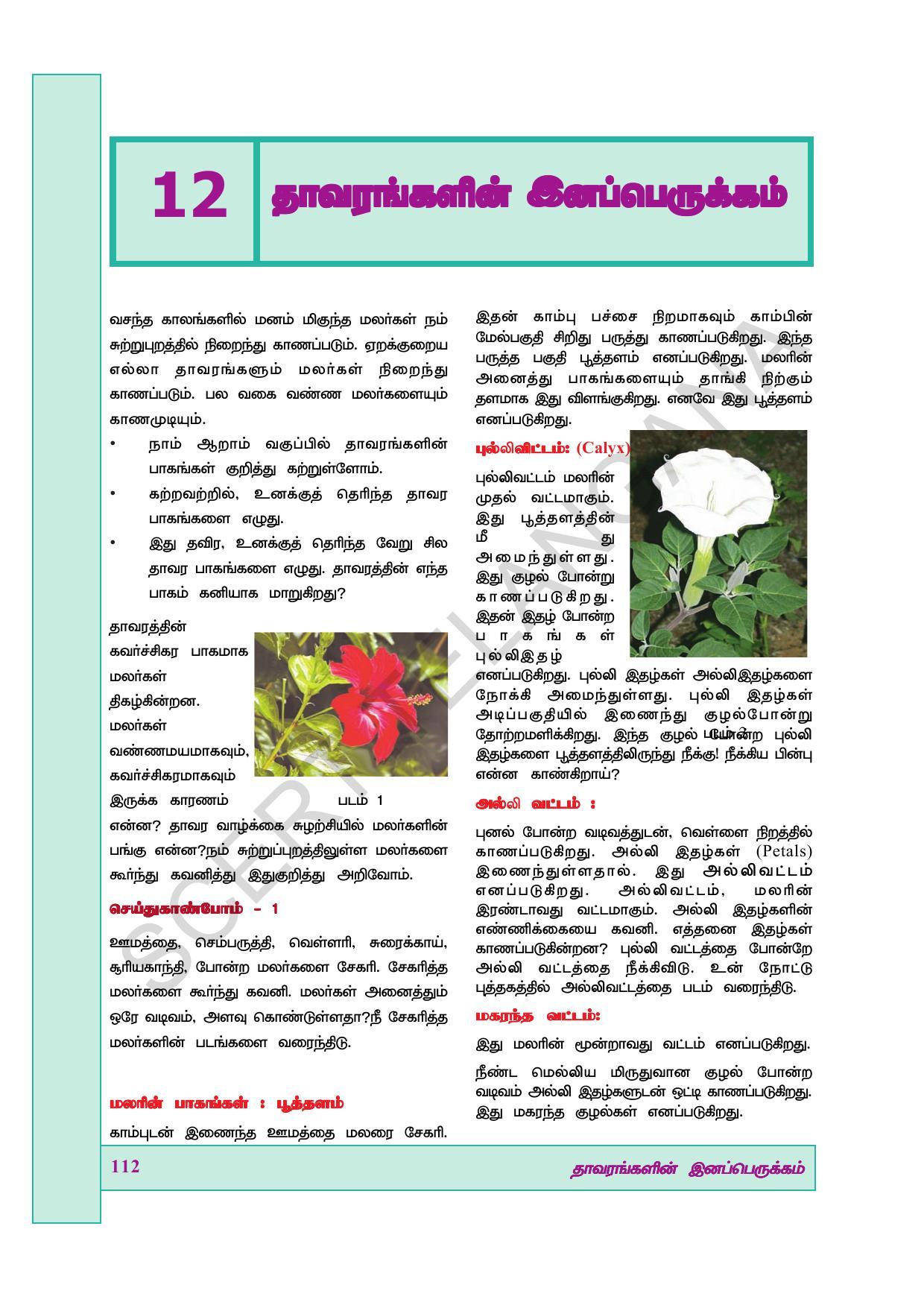 TS SCERT Class 7 General Science (Tamil Medium) Text Book - Page 126