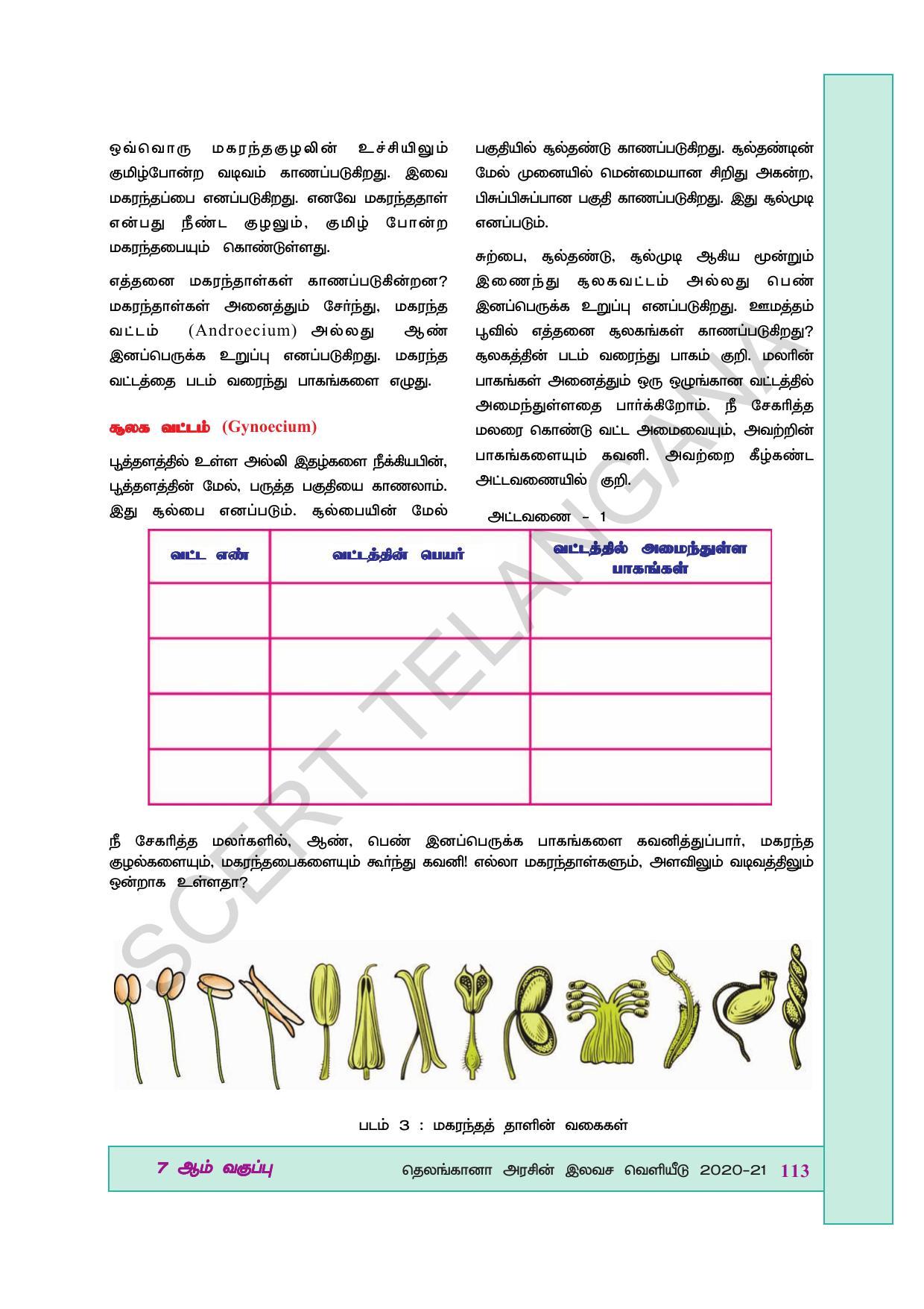 TS SCERT Class 7 General Science (Tamil Medium) Text Book - Page 127