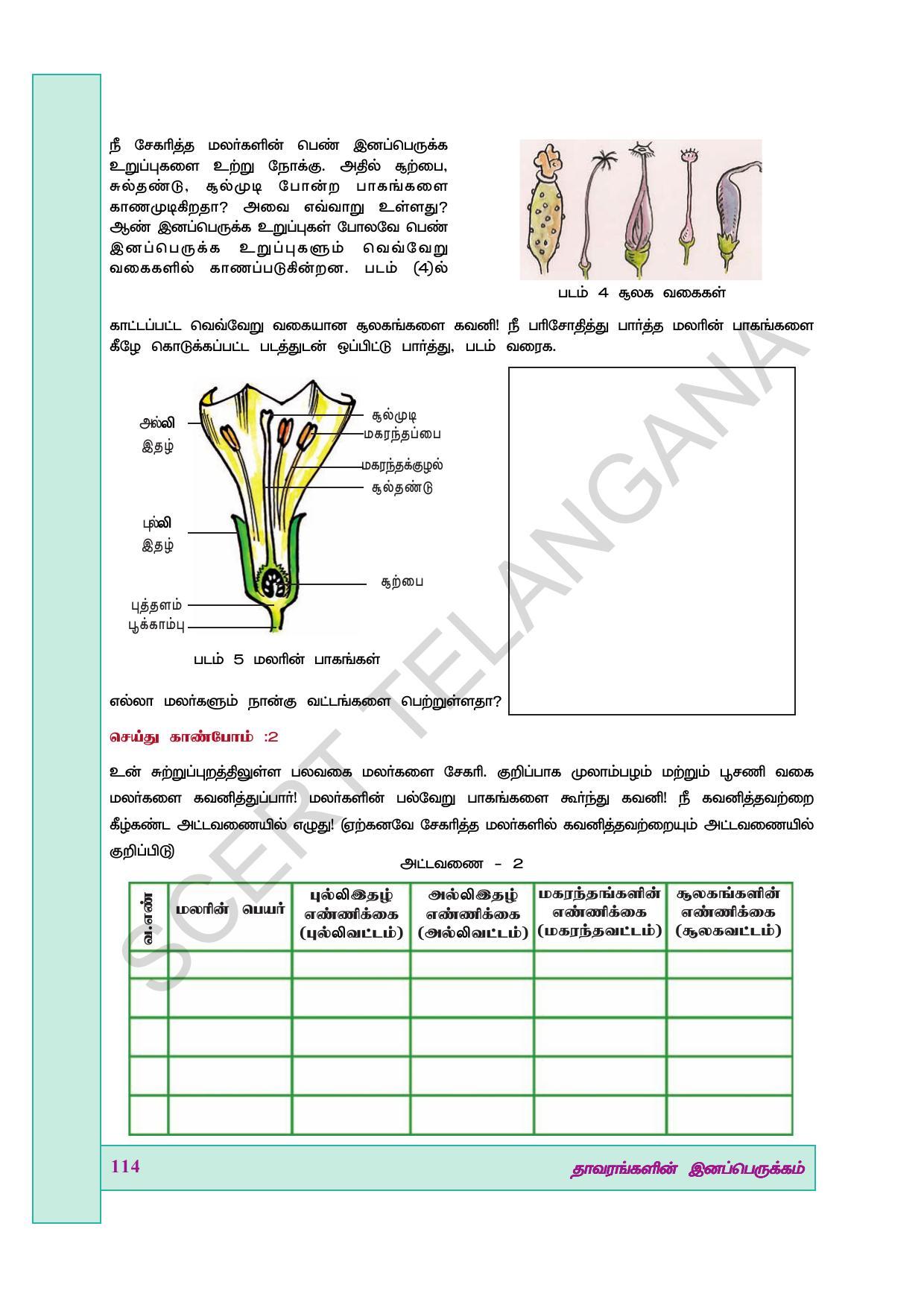 TS SCERT Class 7 General Science (Tamil Medium) Text Book - Page 128
