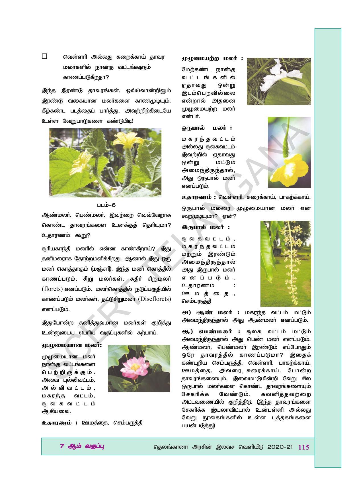 TS SCERT Class 7 General Science (Tamil Medium) Text Book - Page 129