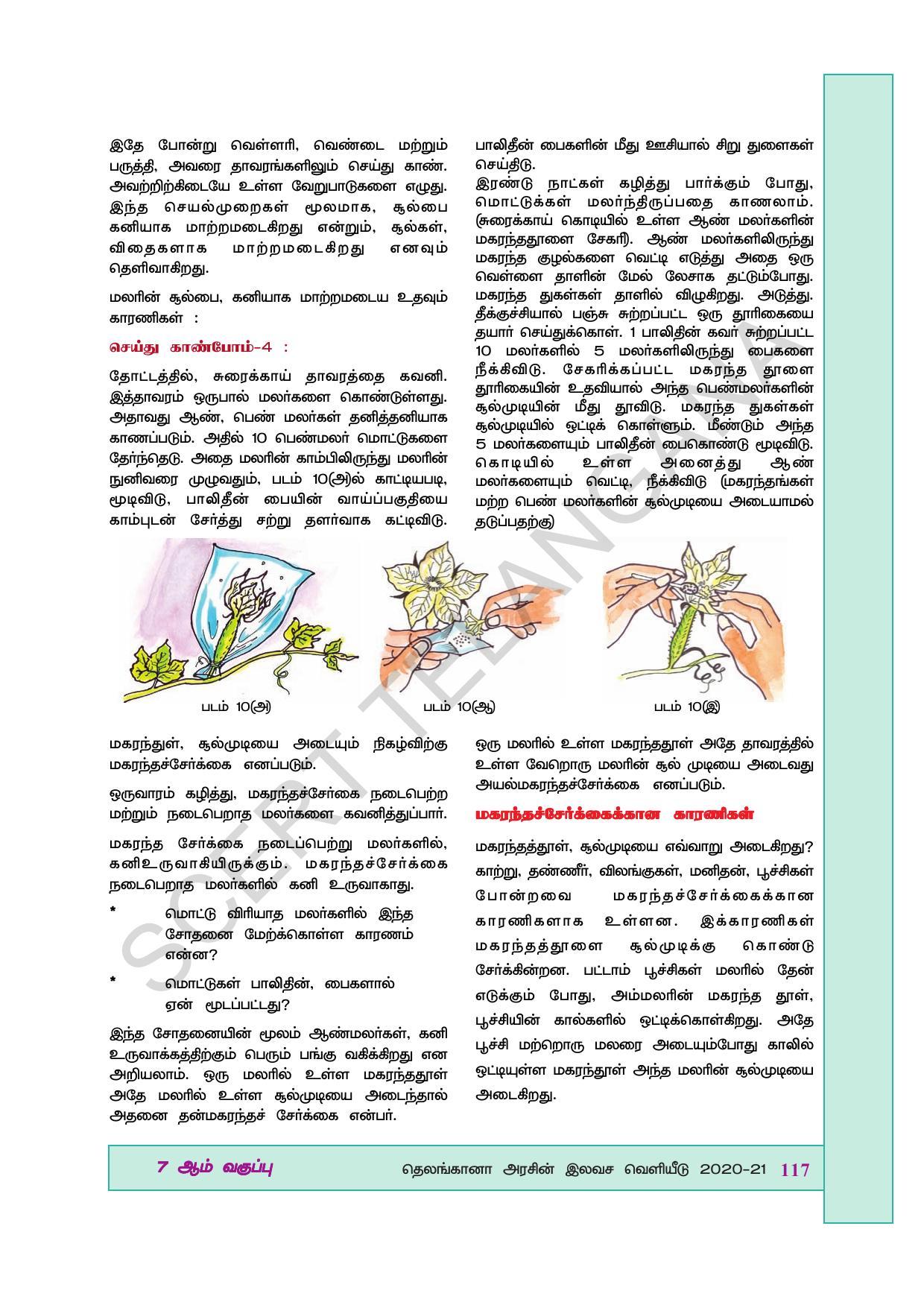 TS SCERT Class 7 General Science (Tamil Medium) Text Book - Page 131