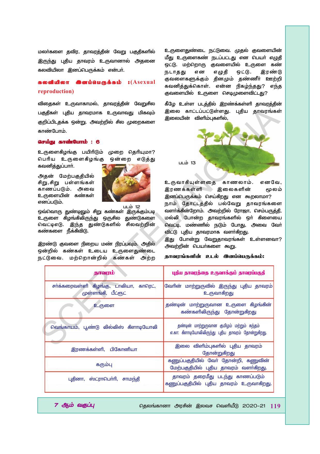 TS SCERT Class 7 General Science (Tamil Medium) Text Book - Page 133