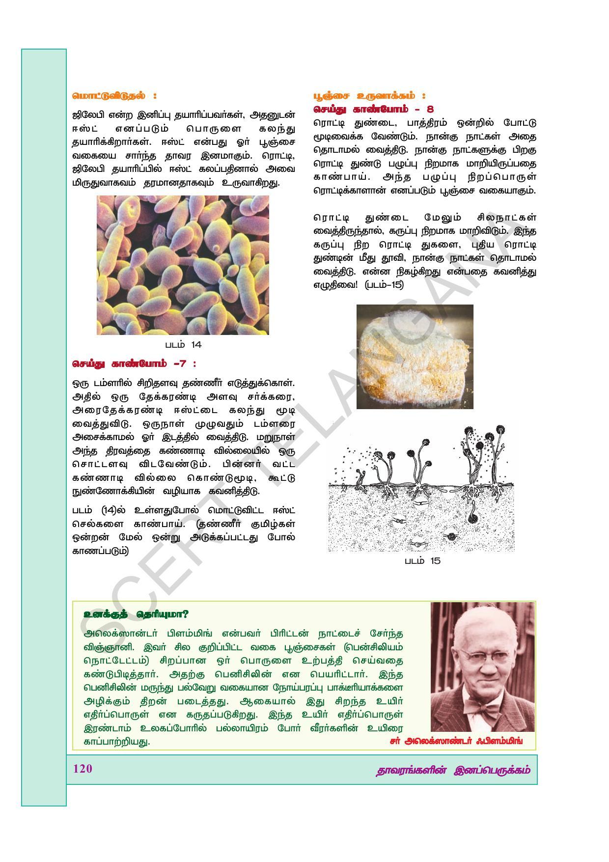 TS SCERT Class 7 General Science (Tamil Medium) Text Book - Page 134