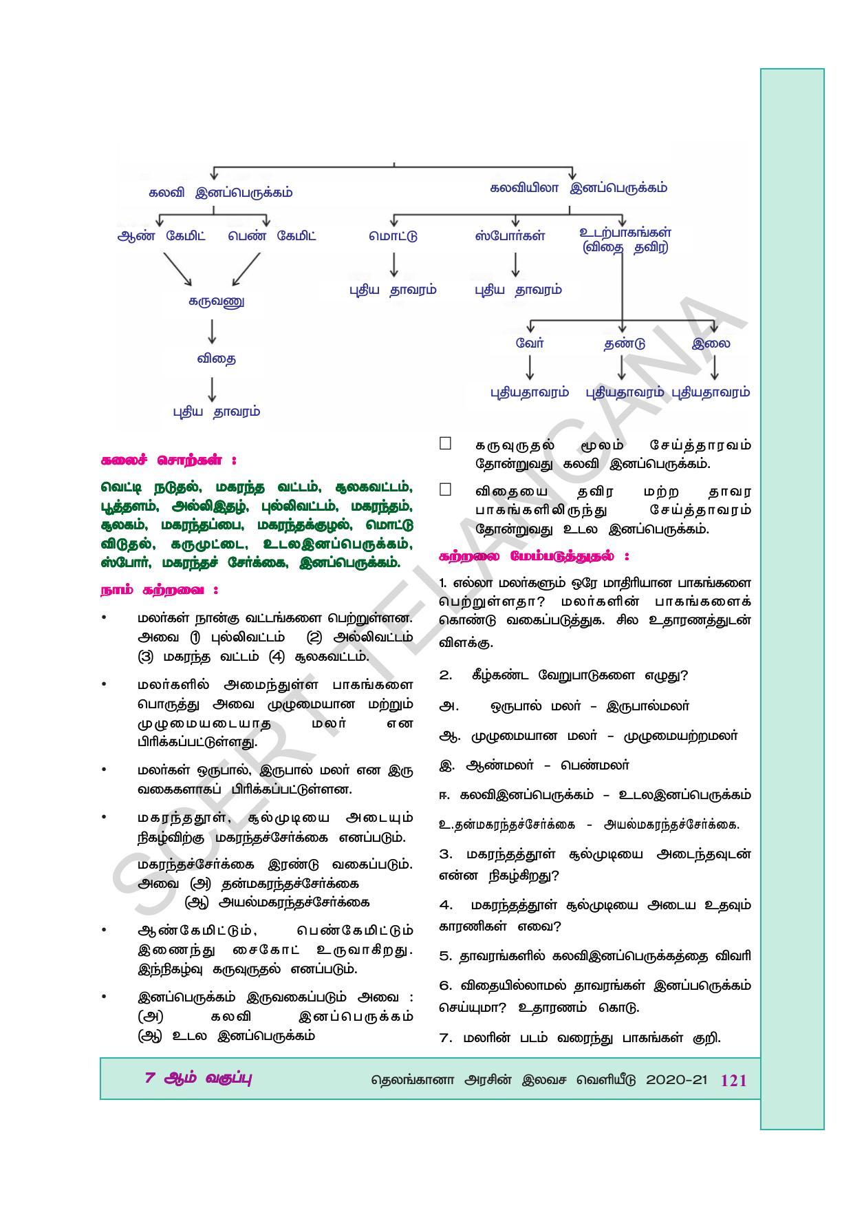 TS SCERT Class 7 General Science (Tamil Medium) Text Book - Page 135