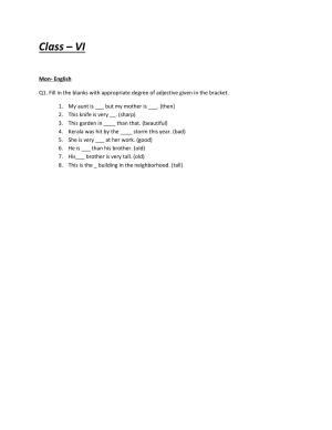 CBSE Worksheets for Class 6 English Adjective Assignment
