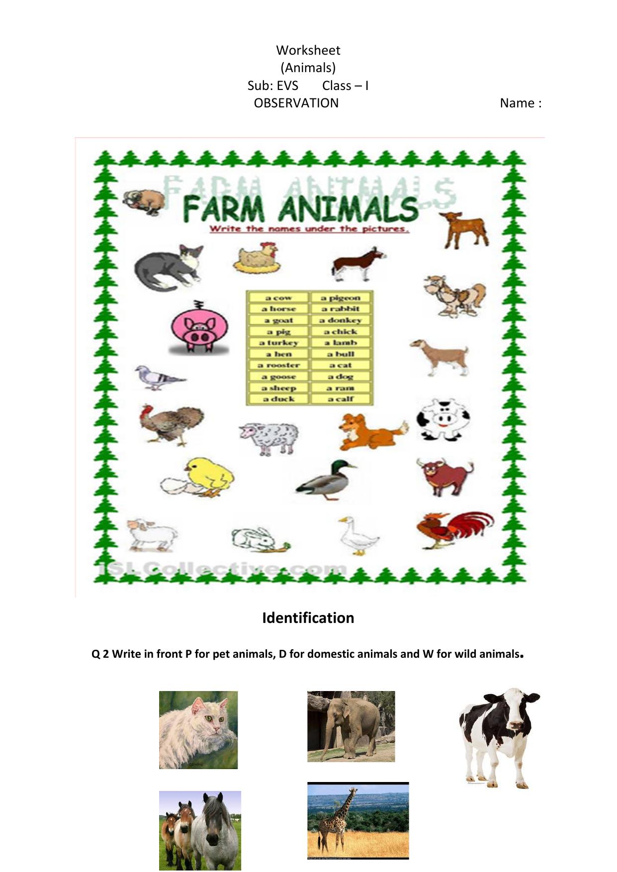 Worksheet for Class 1 EVS Animals around us Assignment 1 - Page 3