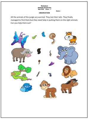 Worksheet for Class 1 EVS Animals around us Assignment 1