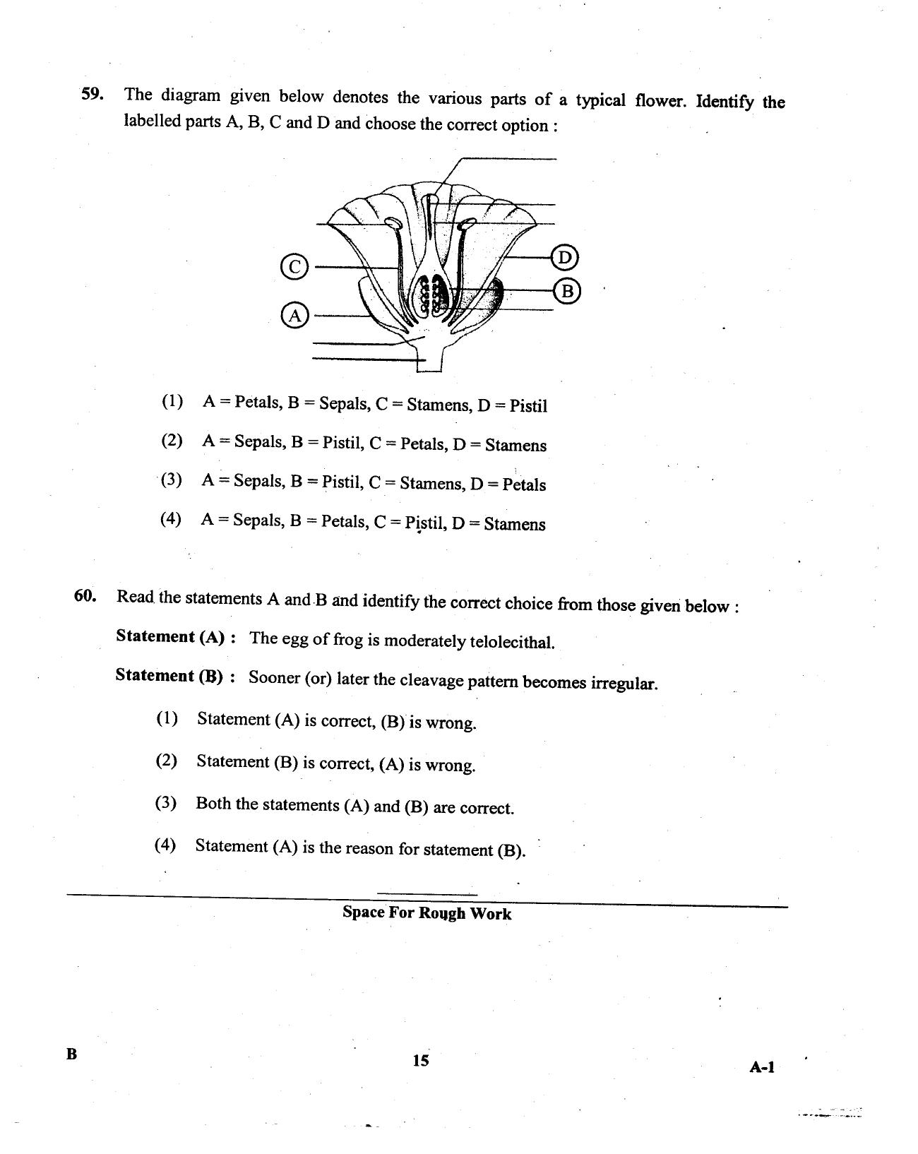 KCET Biology 2013 Question Papers - Page 15