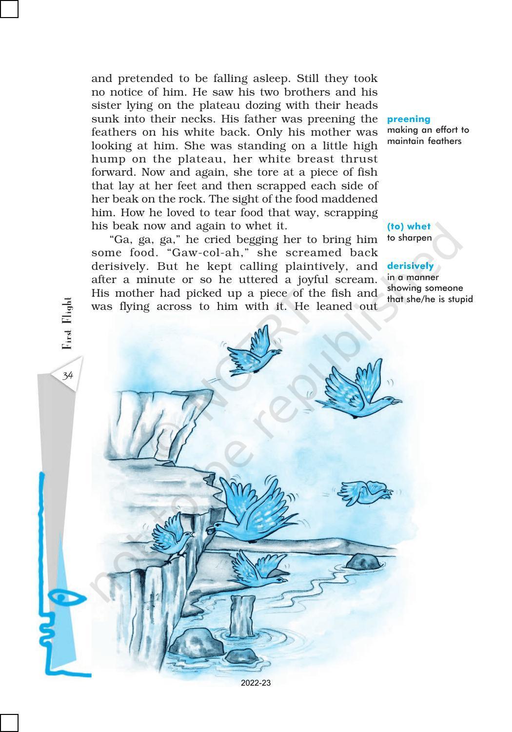 NCERT Book for Class 10 English (First Flight) Chapter 3 Two Stories about Flying - Page 3