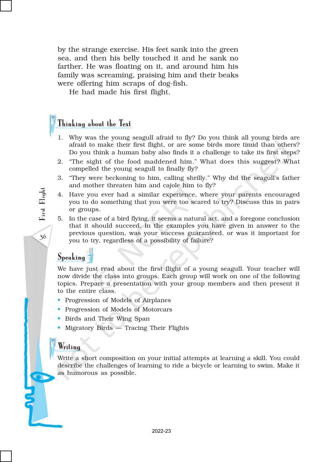 NCERT Book for Class 10 English (First Flight) Chapter 3 Two Stories about Flying - Page 5