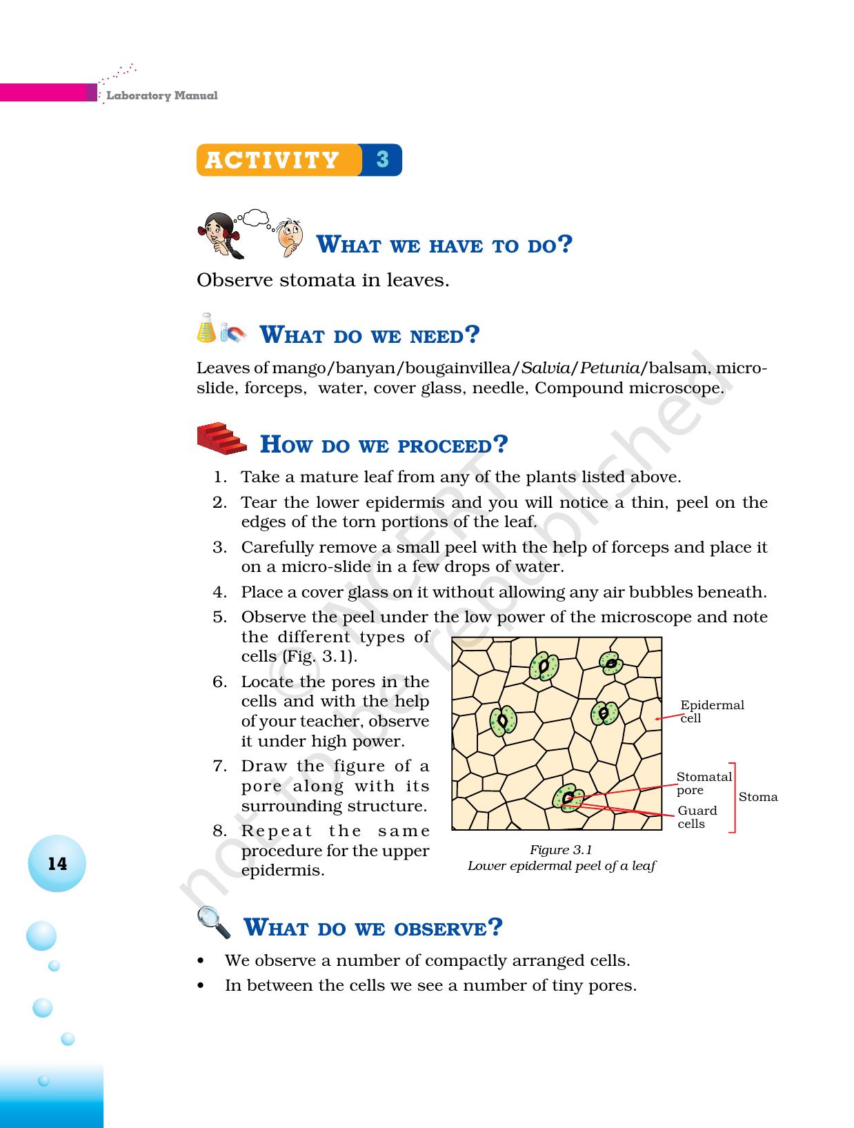 NCERT Laboratory Manuals for Class VI to VIII Science - Theme 1- Food - Page 10