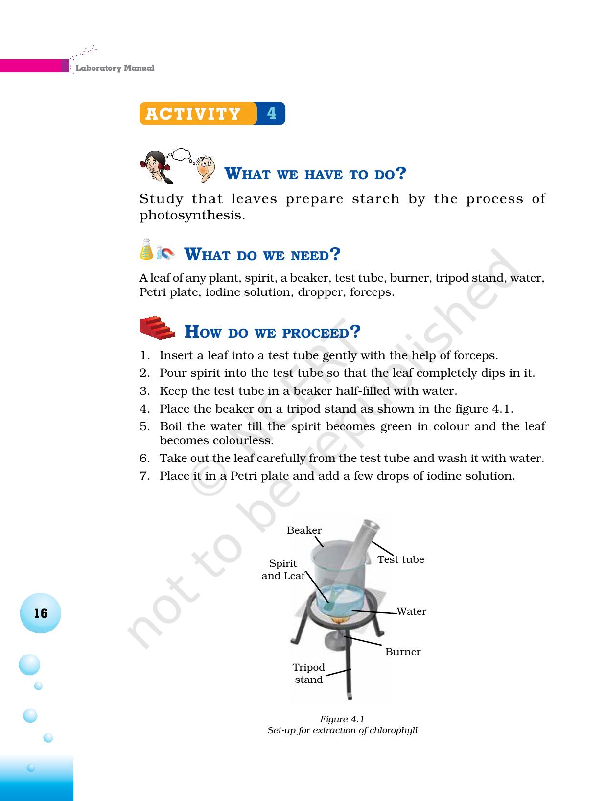 NCERT Laboratory Manuals for Class VI to VIII Science - Theme 1- Food - Page 12
