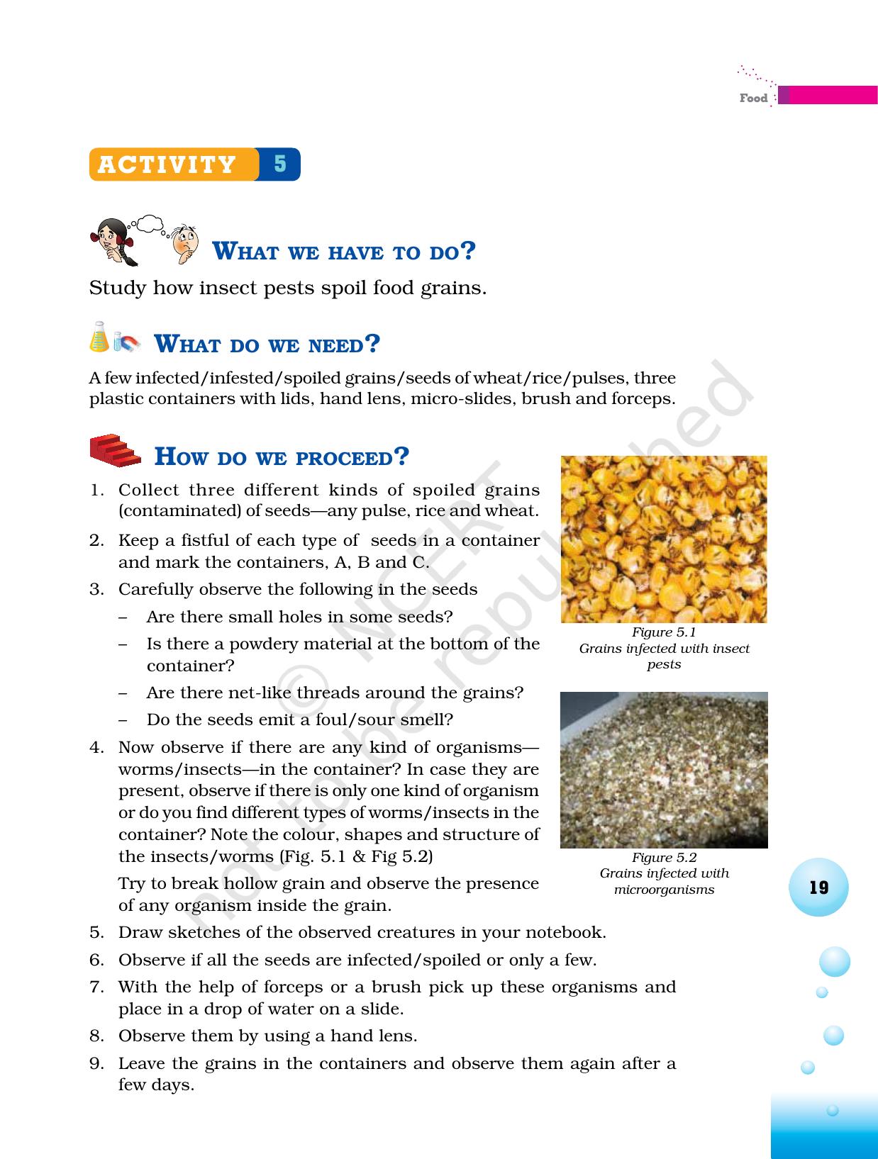 NCERT Laboratory Manuals for Class VI to VIII Science - Theme 1- Food - Page 15