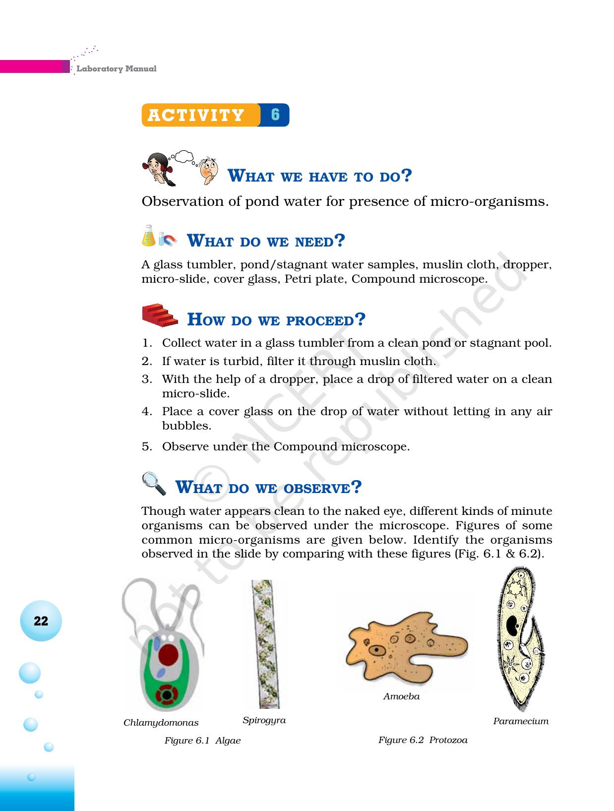 NCERT Laboratory Manuals for Class VI to VIII Science - Theme 1- Food - Page 18
