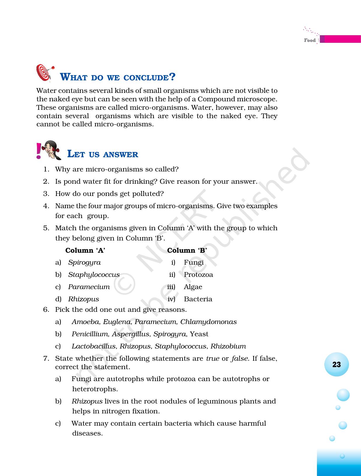 NCERT Laboratory Manuals for Class VI to VIII Science - Theme 1- Food - Page 19
