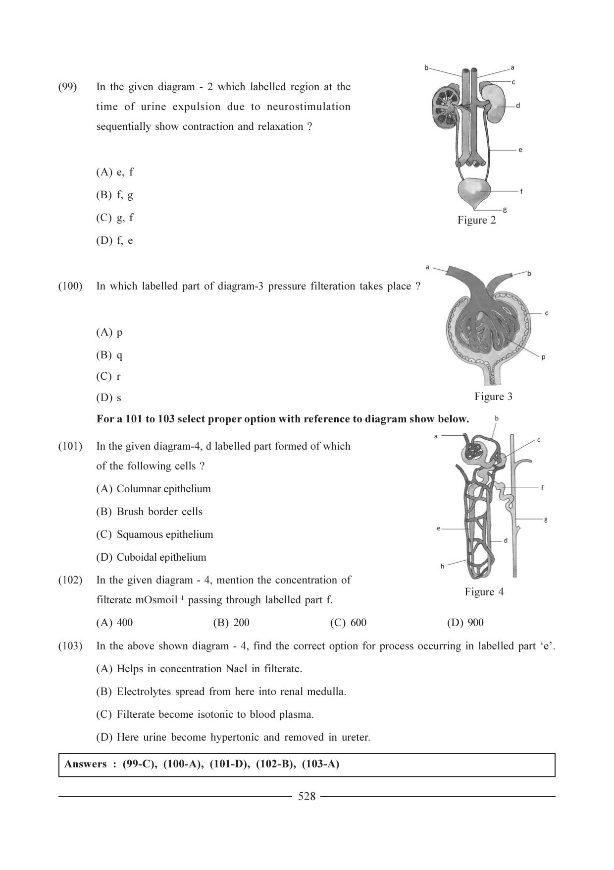 GSEB HSC Biology Question Paper (English Medium)- Chapter 25 - Page 20
