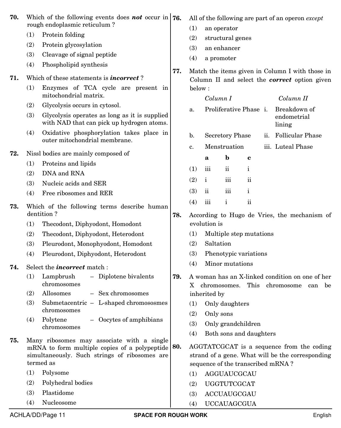 NEET English DD 2019 Question Paper - Page 11