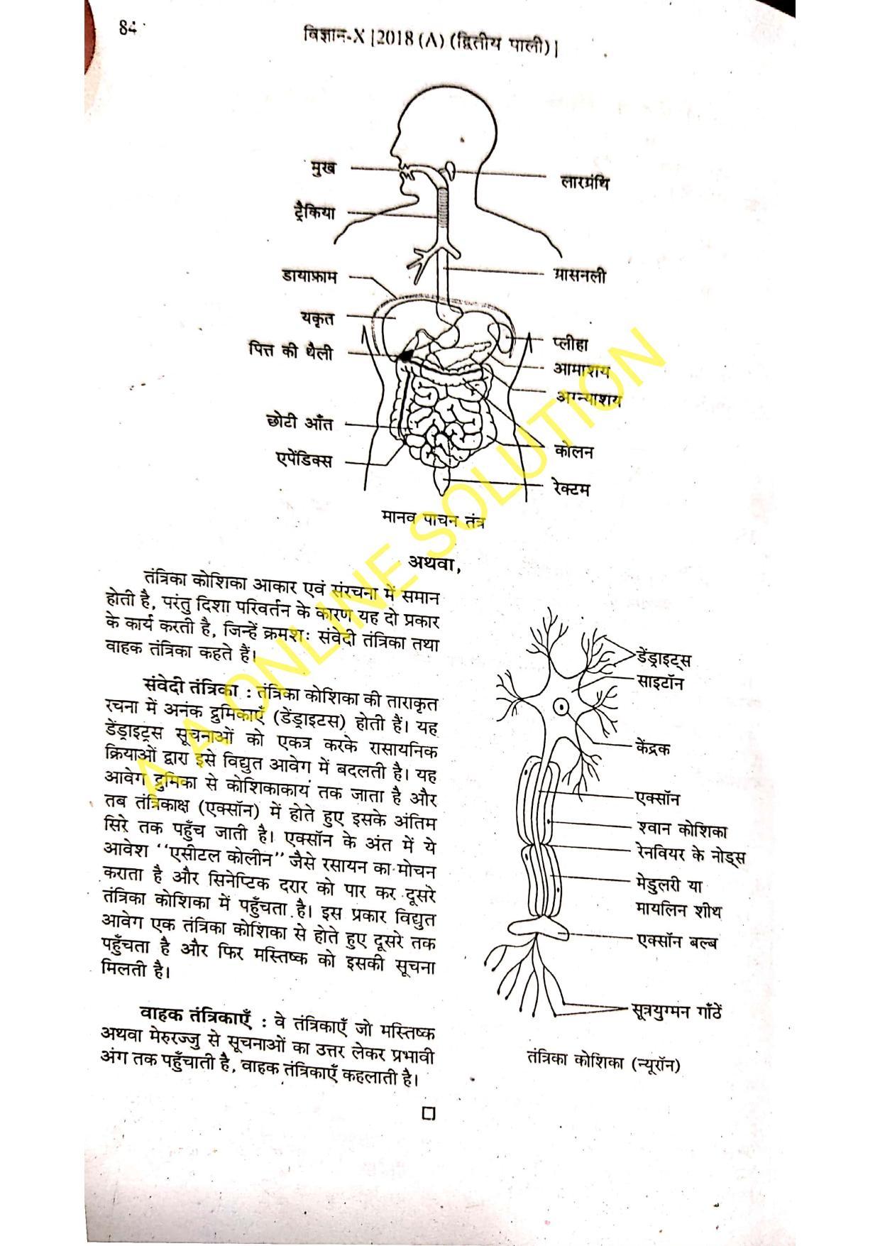 Bihar Board Class 10 Science 2018 (2nd Sitting) Question Paper - Page 8