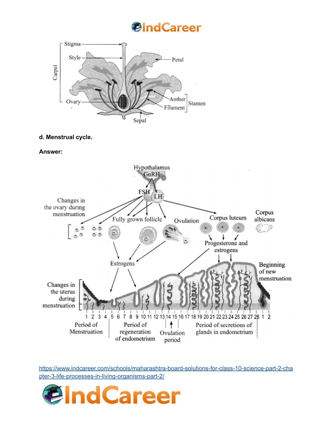 Maharashtra Board Solutions for Class 10- Science (Part 2): Chapter 3- Life Processes in Living Organisms Part – 2 - Page 14