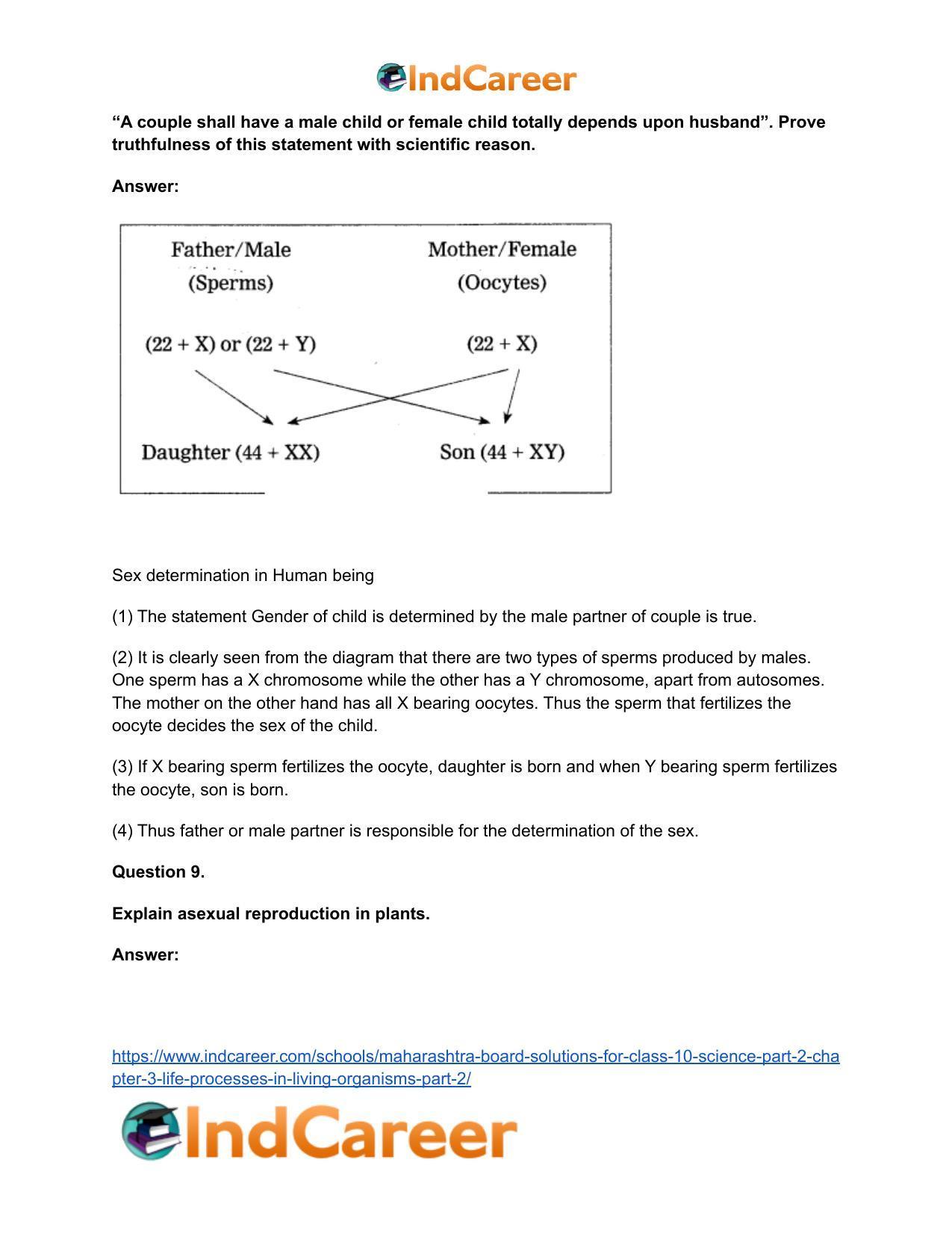 Maharashtra Board Solutions for Class 10- Science (Part 2): Chapter 3- Life Processes in Living Organisms Part – 2 - Page 16