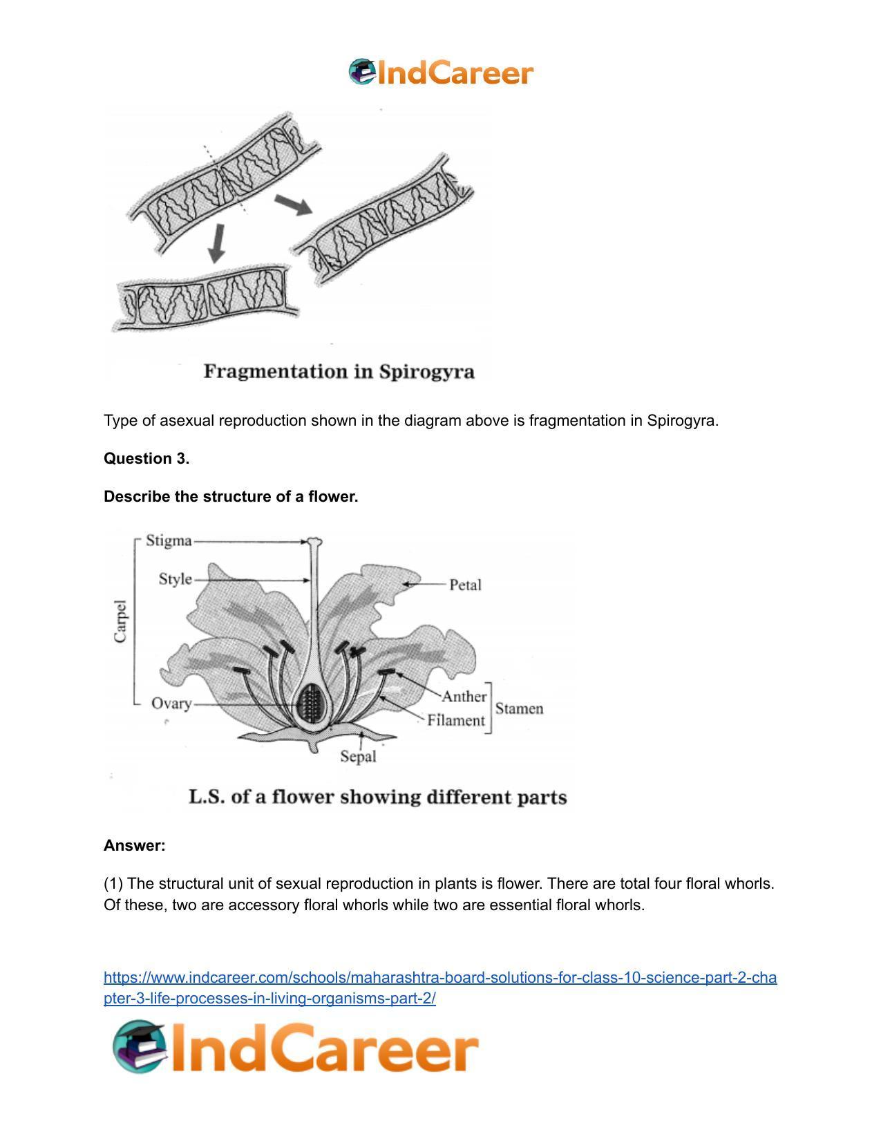 Maharashtra Board Solutions for Class 10- Science (Part 2): Chapter 3- Life Processes in Living Organisms Part – 2 - Page 46