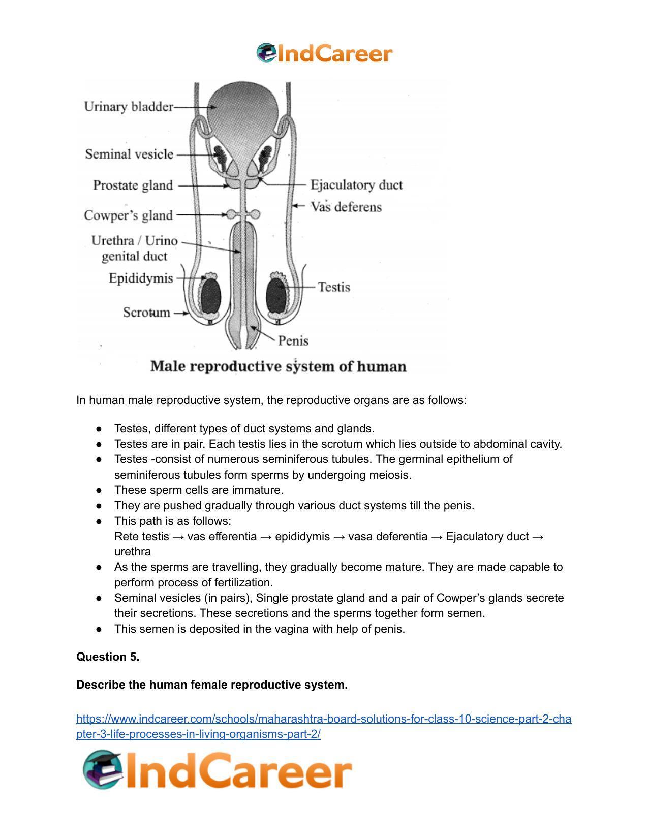 Maharashtra Board Solutions for Class 10- Science (Part 2): Chapter 3- Life Processes in Living Organisms Part – 2 - Page 48