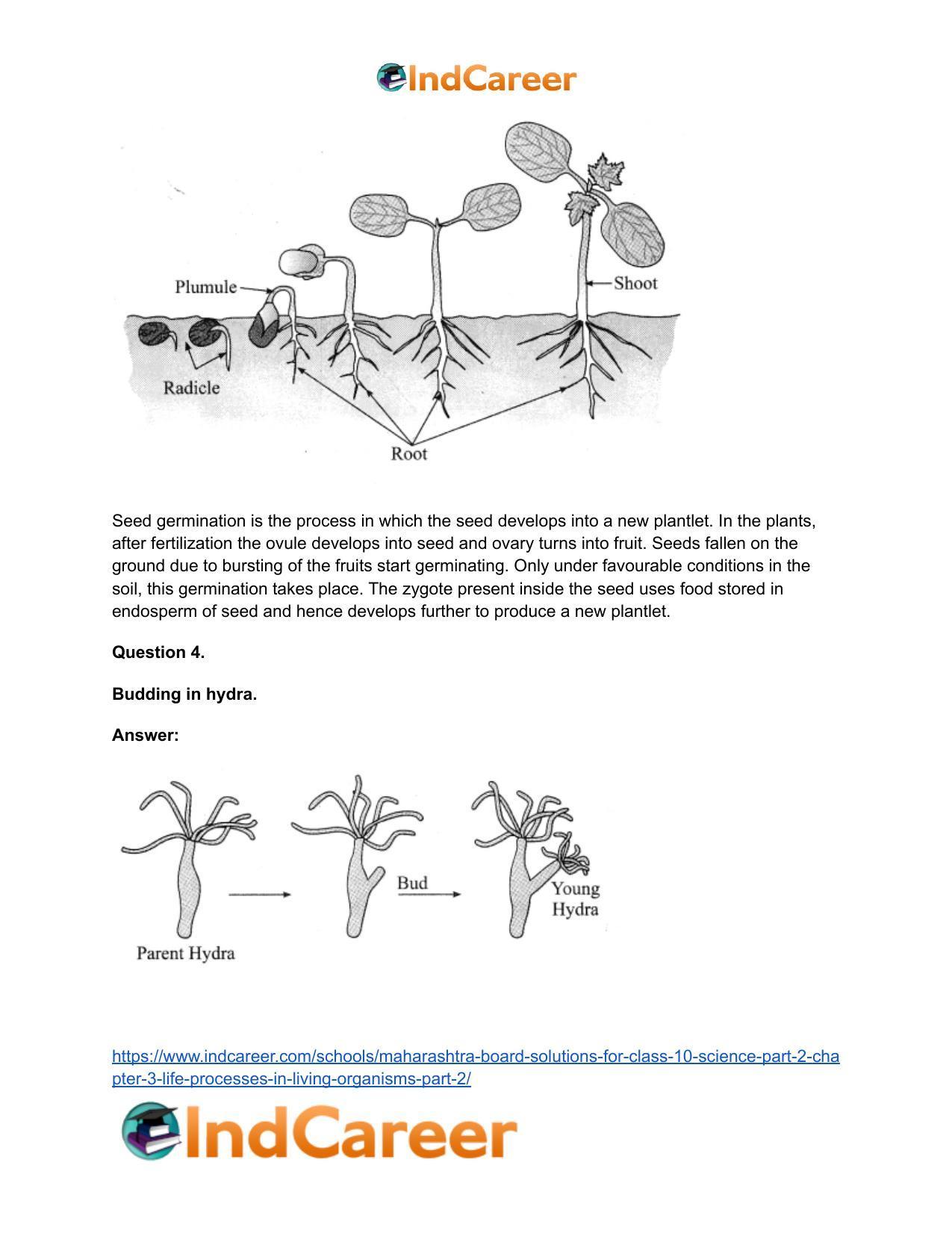 Maharashtra Board Solutions for Class 10- Science (Part 2): Chapter 3- Life Processes in Living Organisms Part – 2 - Page 53