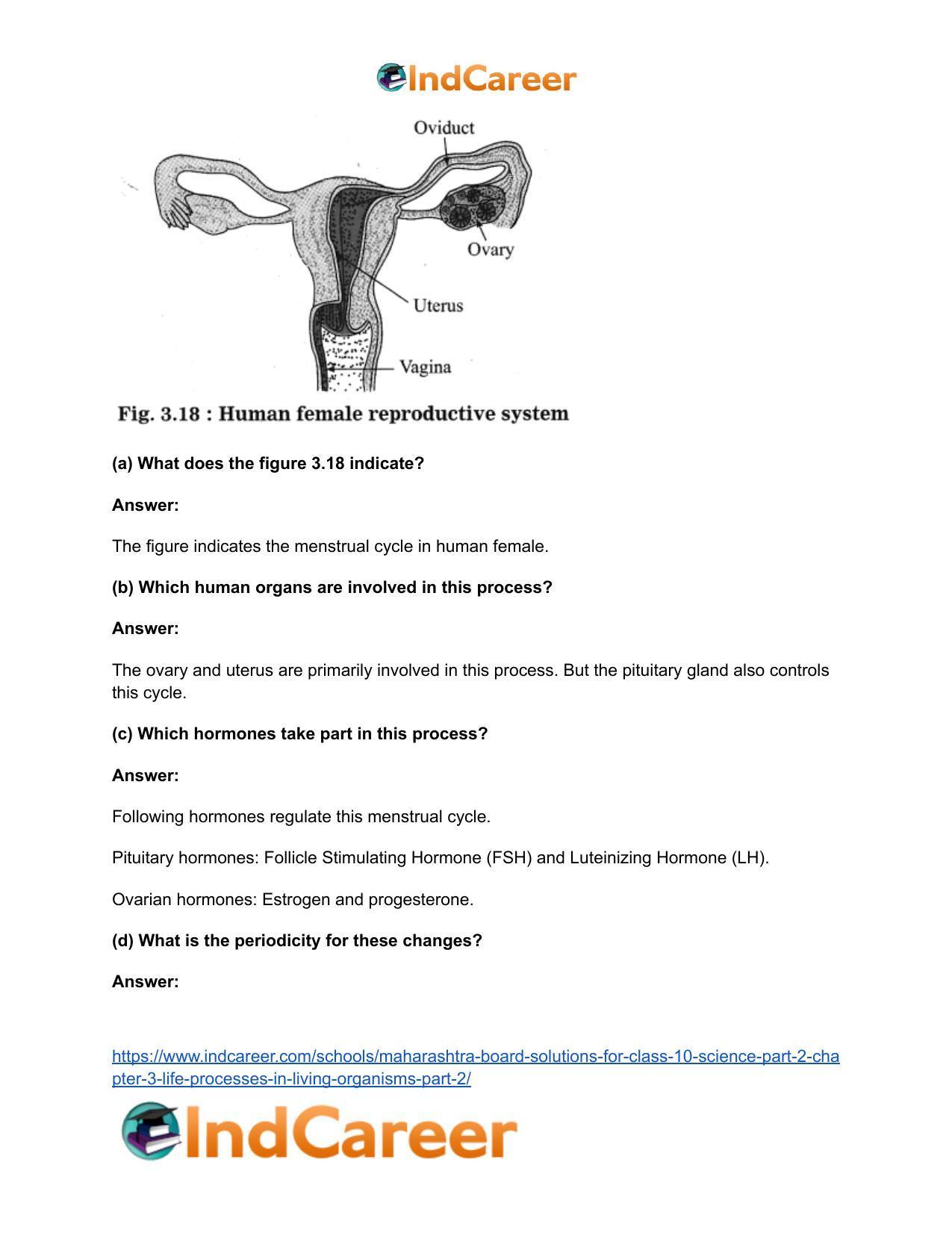Maharashtra Board Solutions for Class 10- Science (Part 2): Chapter 3- Life Processes in Living Organisms Part – 2 - Page 57