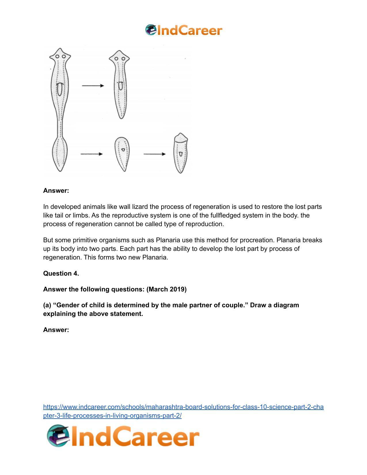 Maharashtra Board Solutions for Class 10- Science (Part 2): Chapter 3- Life Processes in Living Organisms Part – 2 - Page 60