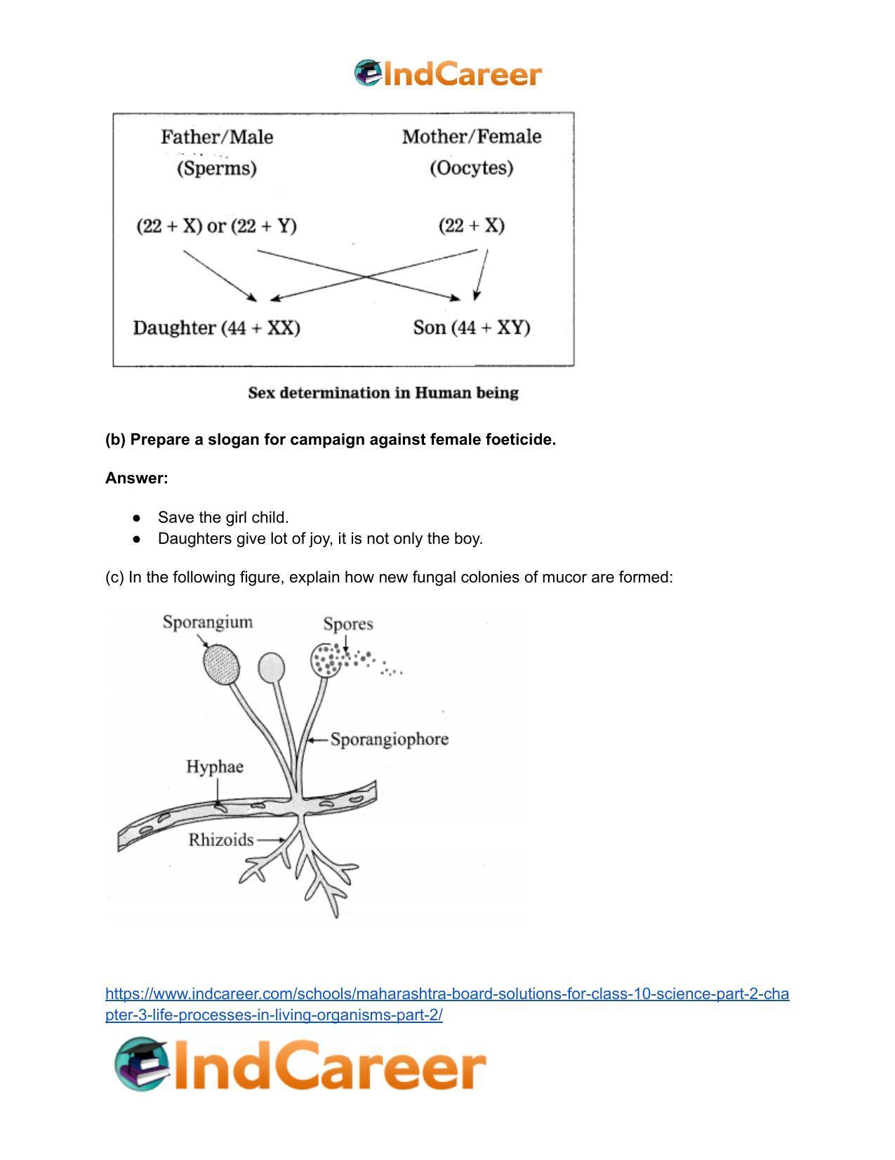 Maharashtra Board Solutions for Class 10- Science (Part 2): Chapter 3- Life Processes in Living Organisms Part – 2 - Page 61
