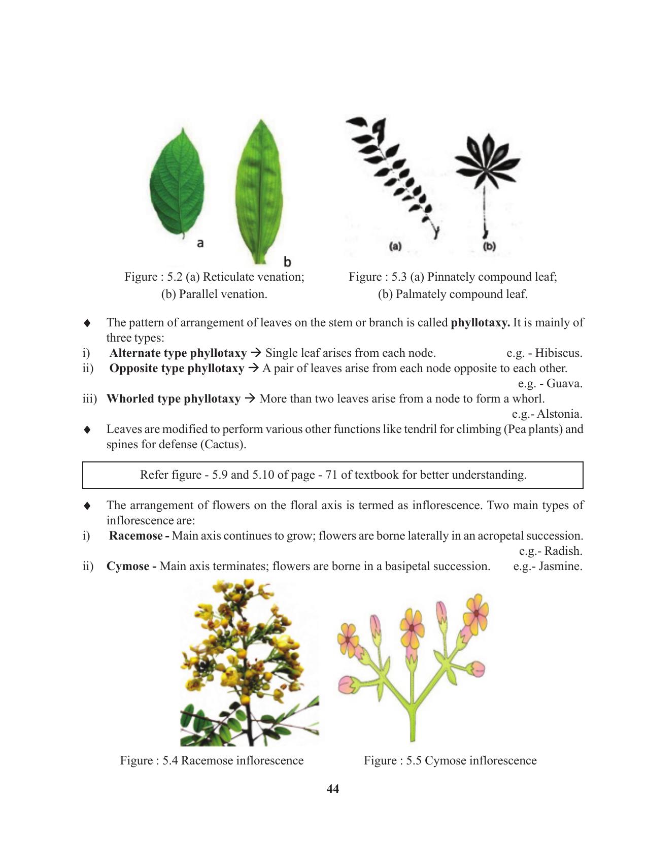 Tripura Board Class 11 Biology English Version Workbooks - Page 44