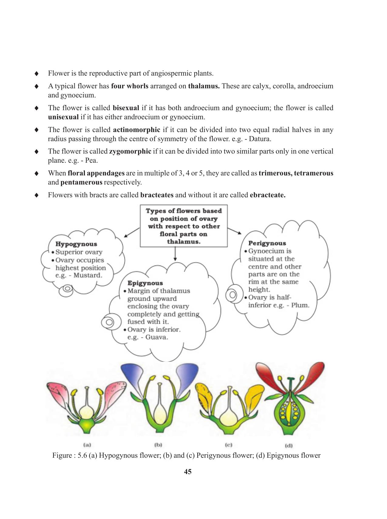 Tripura Board Class 11 Biology English Version Workbooks - Page 45