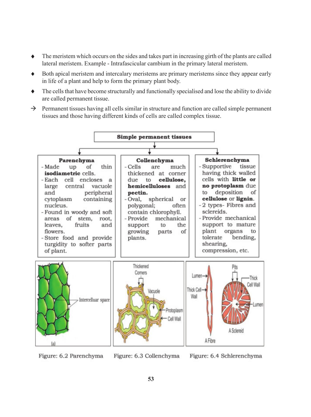 Tripura Board Class 11 Biology English Version Workbooks - Page 53