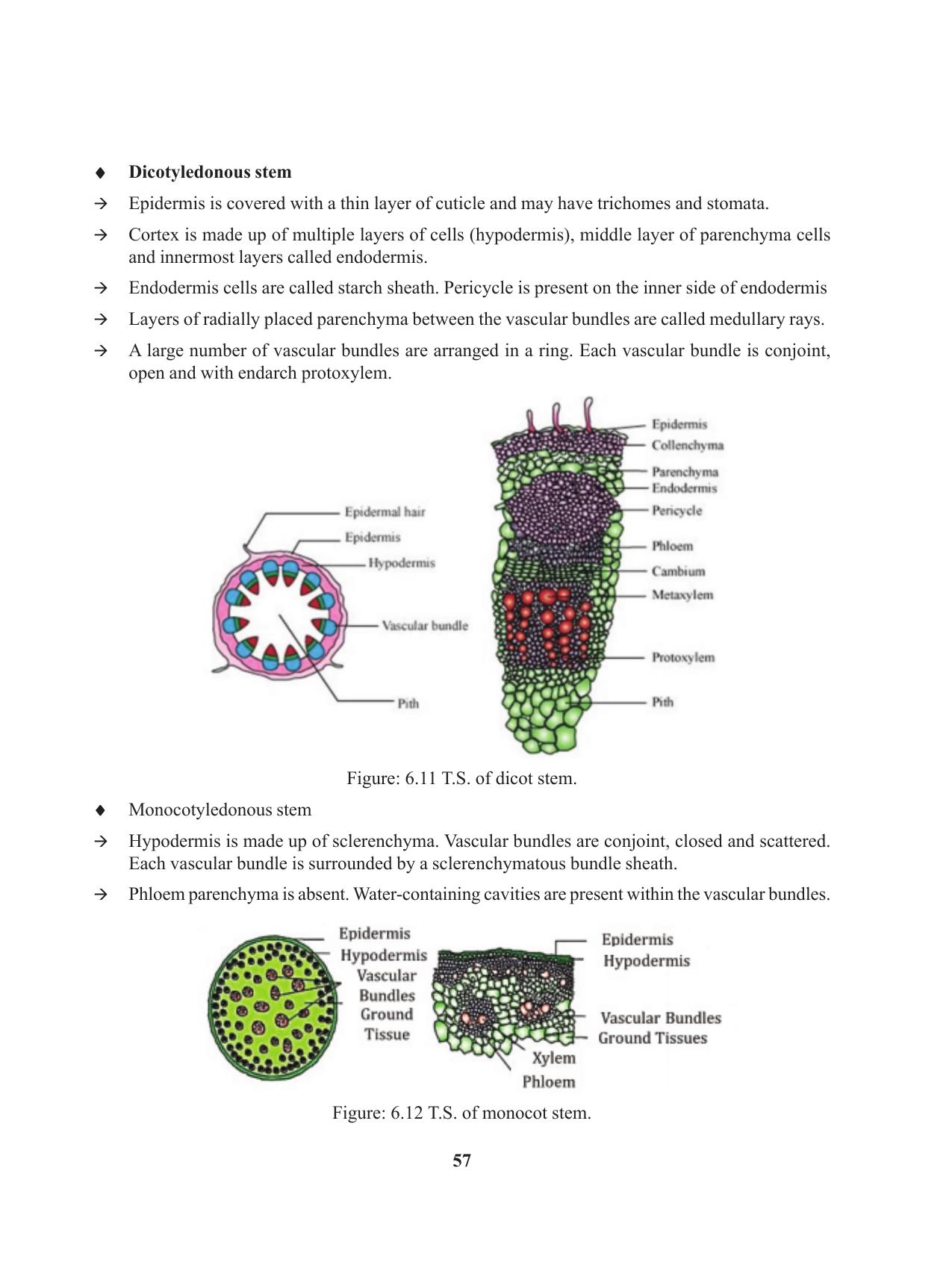Tripura Board Class 11 Biology English Version Workbooks - Page 57