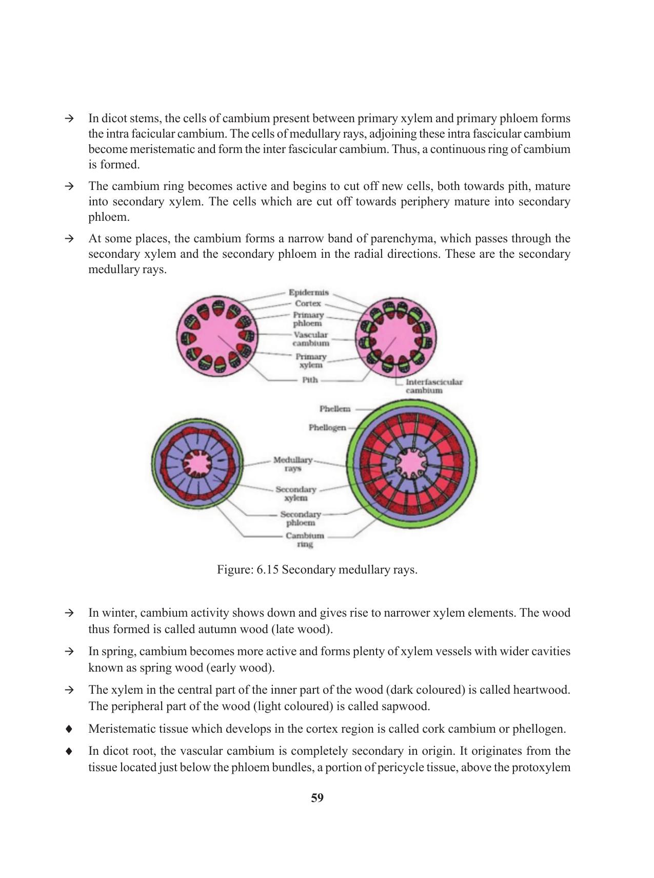 Tripura Board Class 11 Biology English Version Workbooks - Page 59