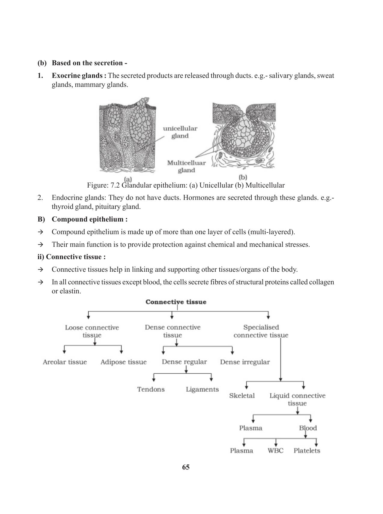 Tripura Board Class 11 Biology English Version Workbooks - Page 65