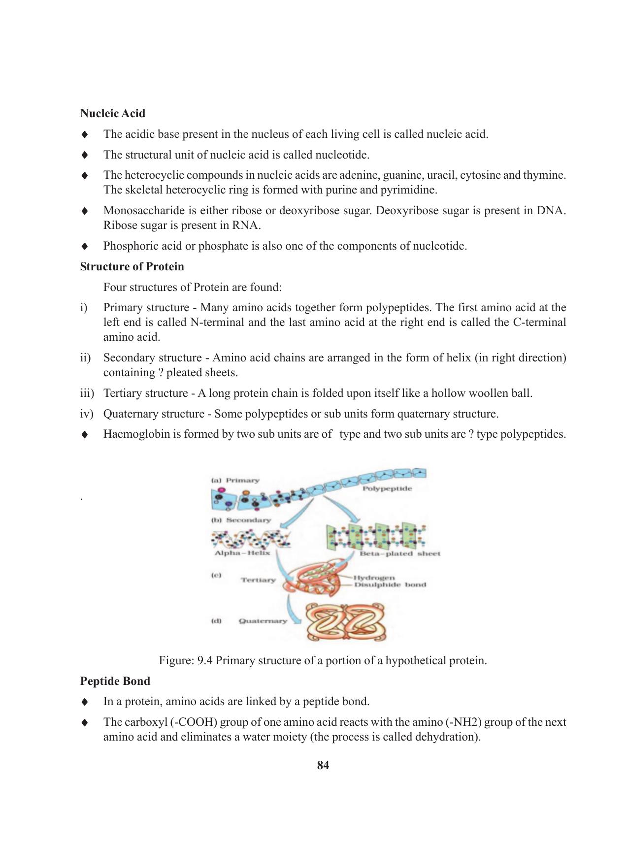 Tripura Board Class 11 Biology English Version Workbooks - Page 84