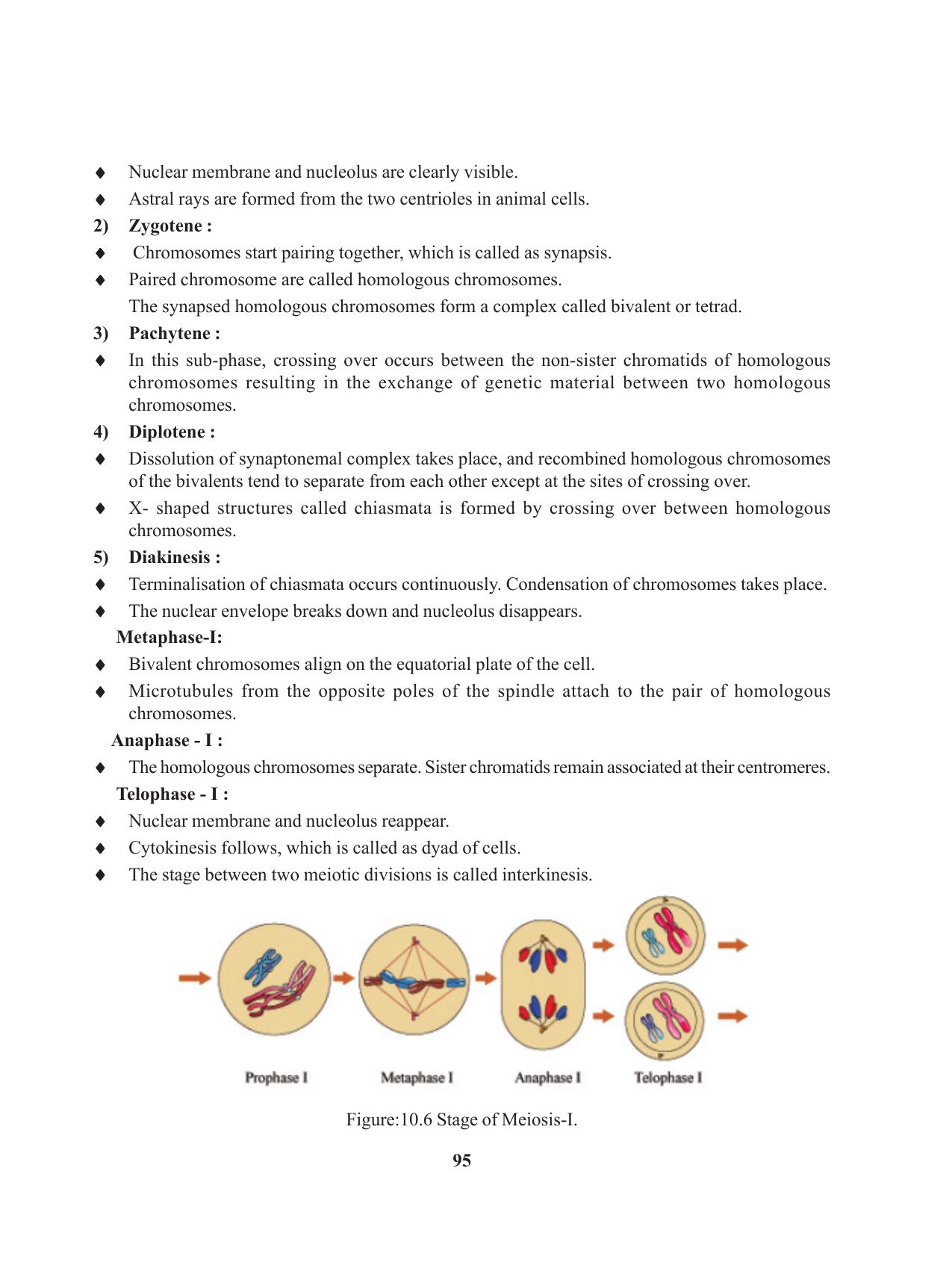 Tripura Board Class 11 Biology English Version Workbooks - Page 95