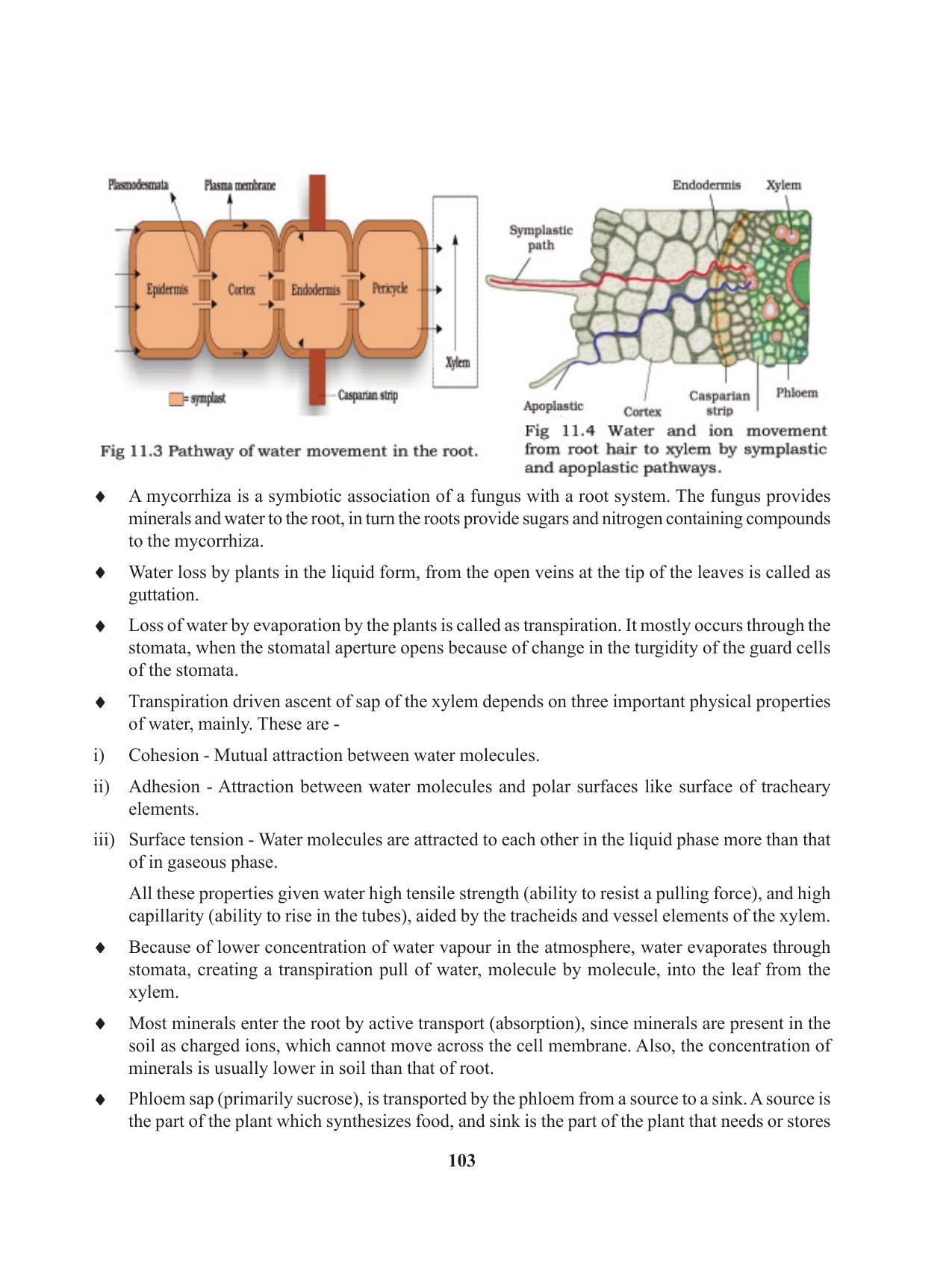 Tripura Board Class 11 Biology English Version Workbooks - Page 103