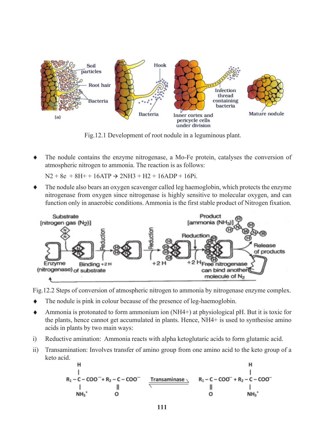 Tripura Board Class 11 Biology English Version Workbooks - Page 111