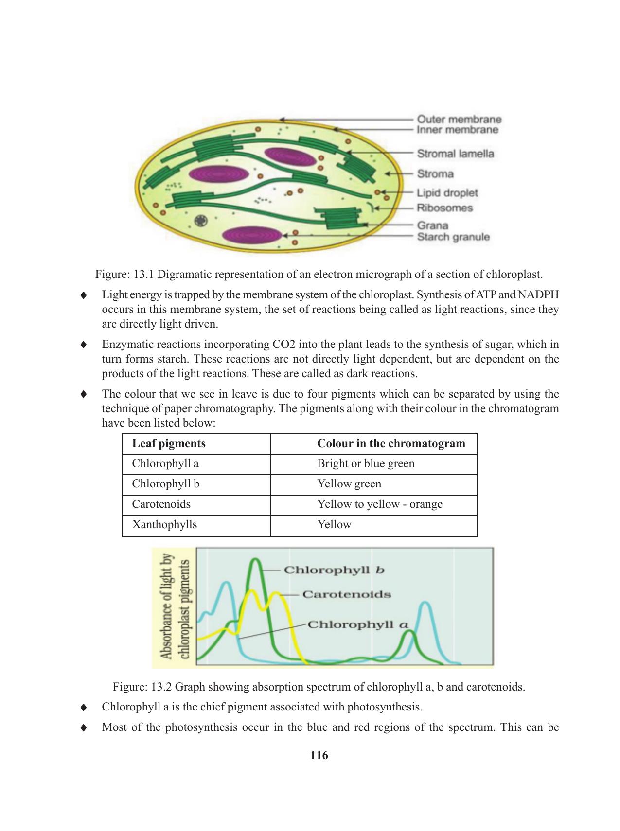 Tripura Board Class 11 Biology English Version Workbooks - Page 116