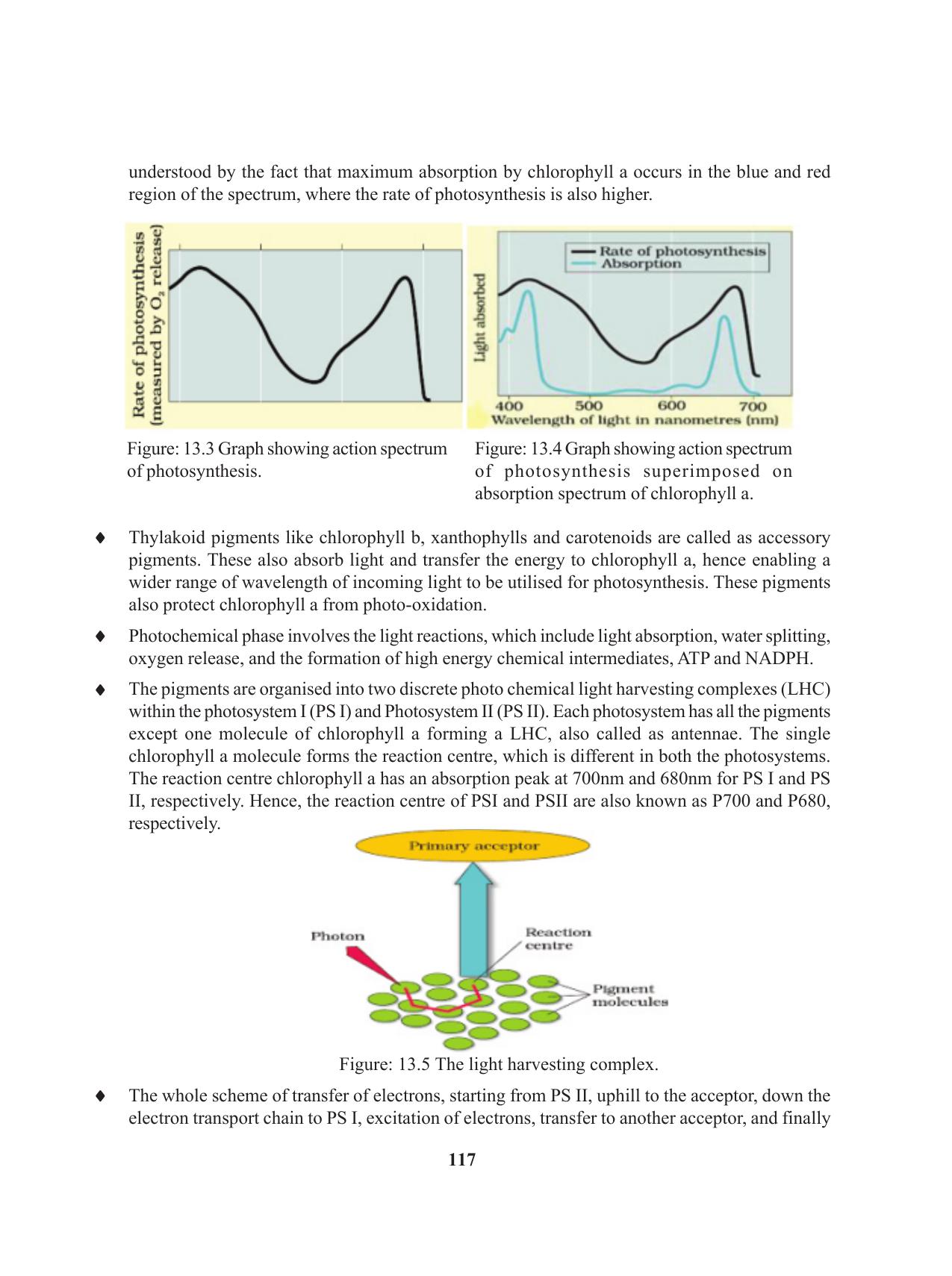 Tripura Board Class 11 Biology English Version Workbooks - Page 117
