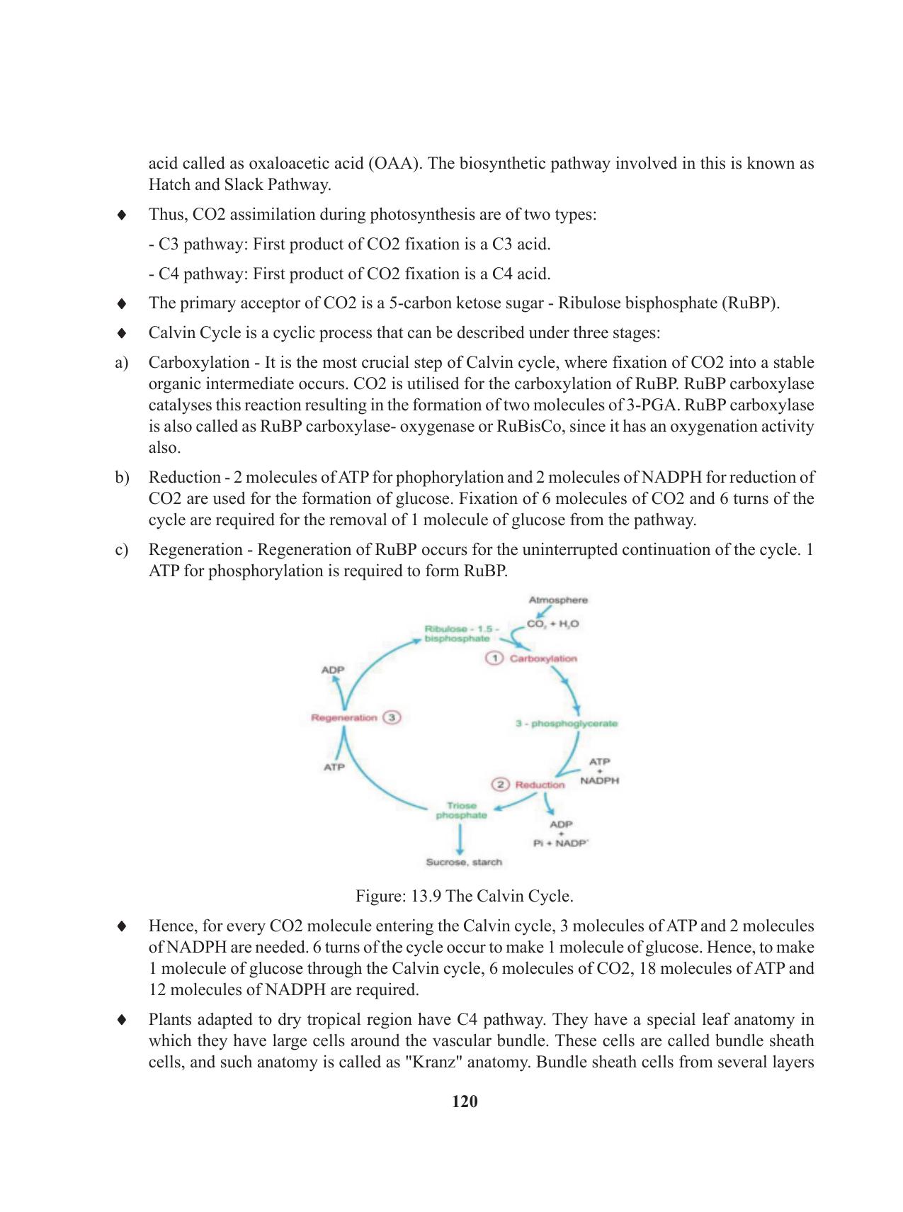 Tripura Board Class 11 Biology English Version Workbooks - Page 120