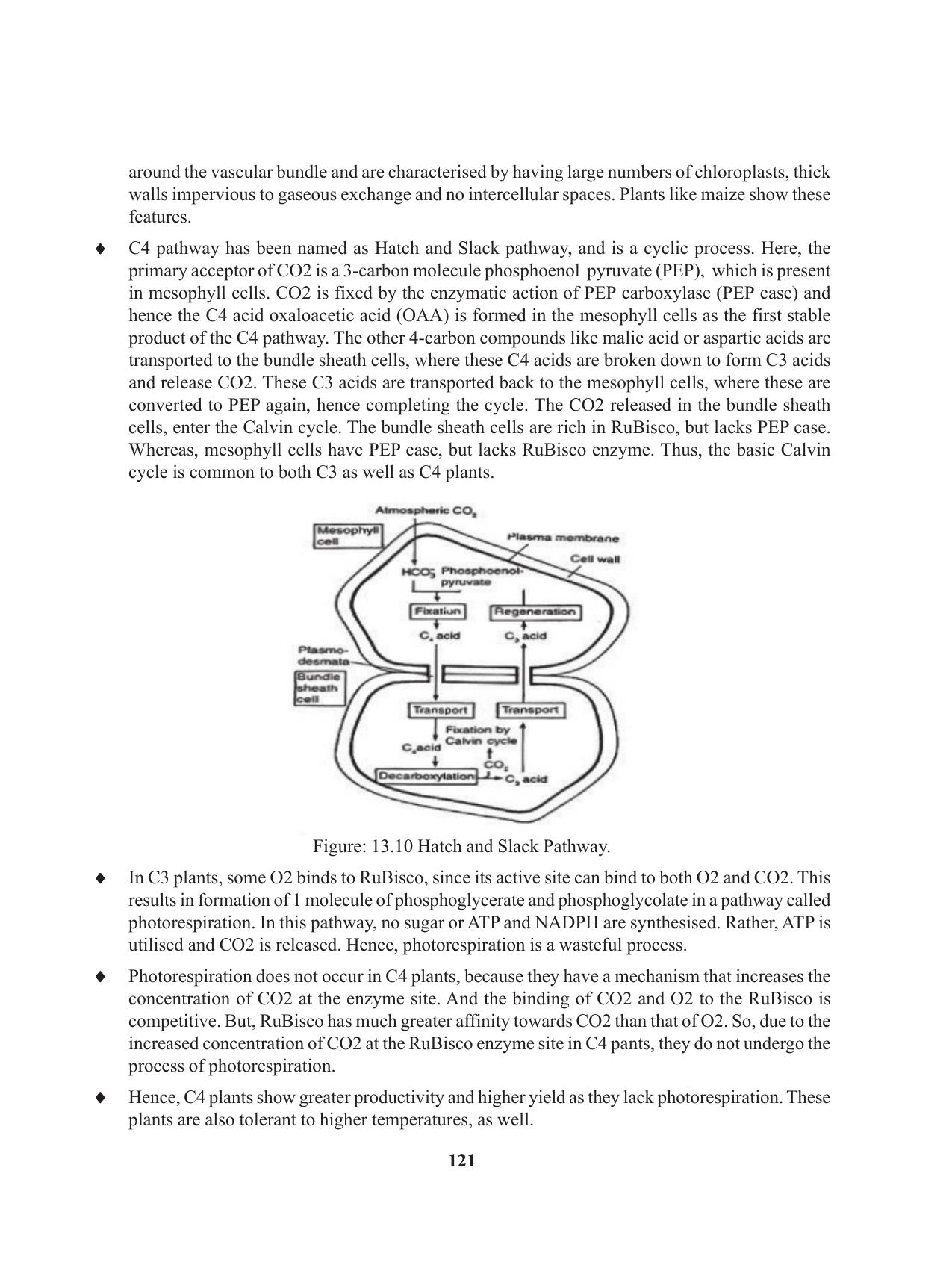 Tripura Board Class 11 Biology English Version Workbooks - Page 121