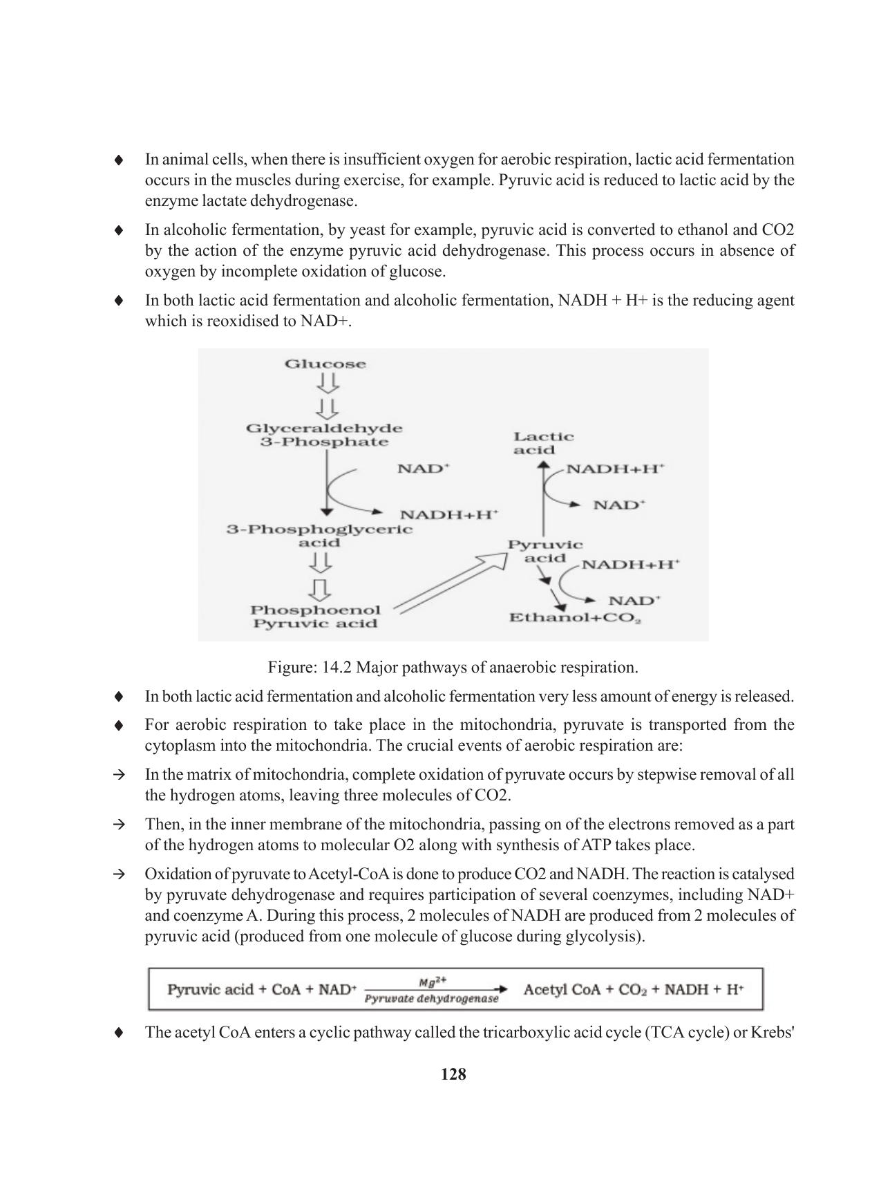 Tripura Board Class 11 Biology English Version Workbooks - Page 128